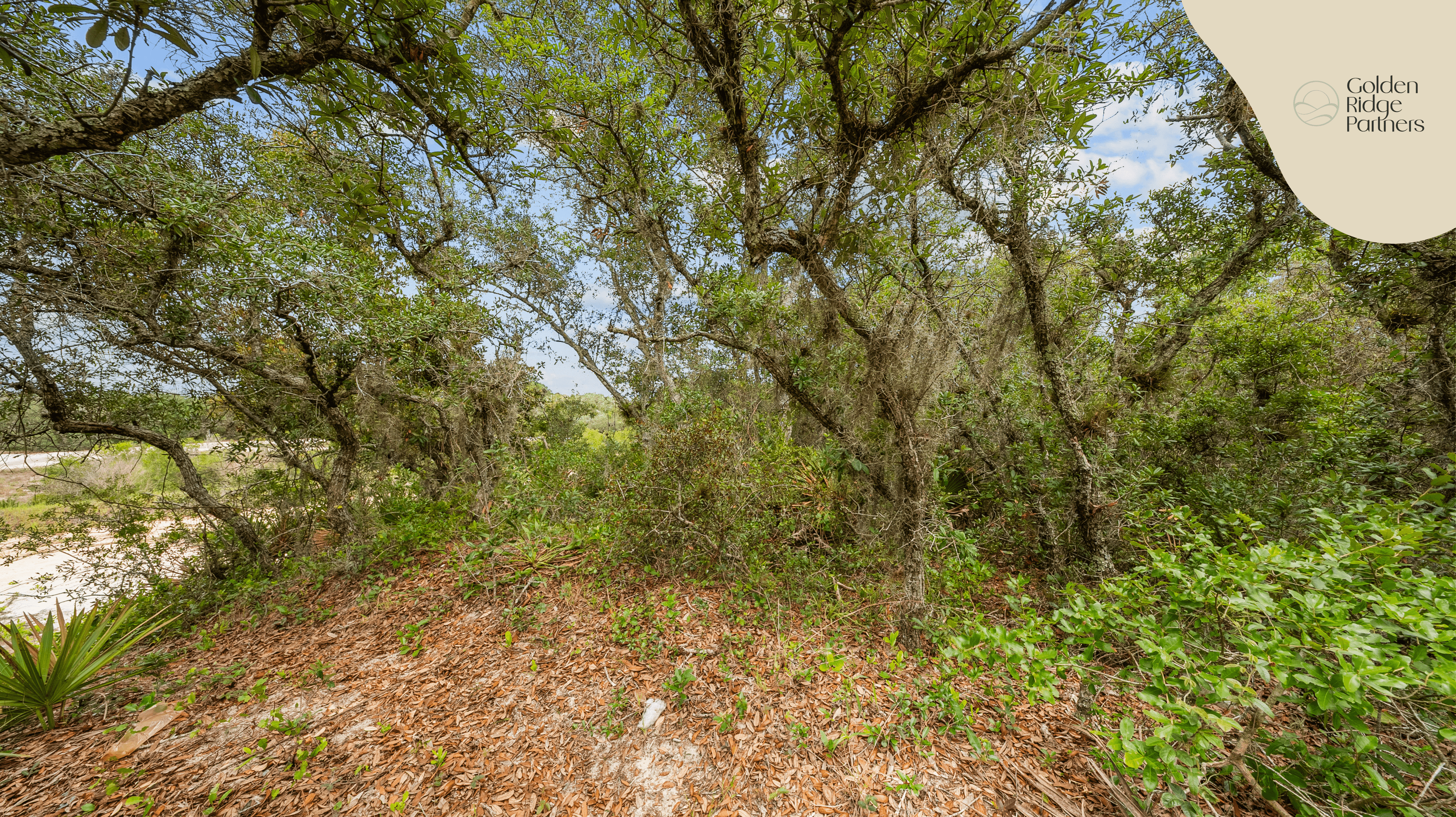 0.23 acre residential zoned land for sale in Highlands County, FL — photo 2