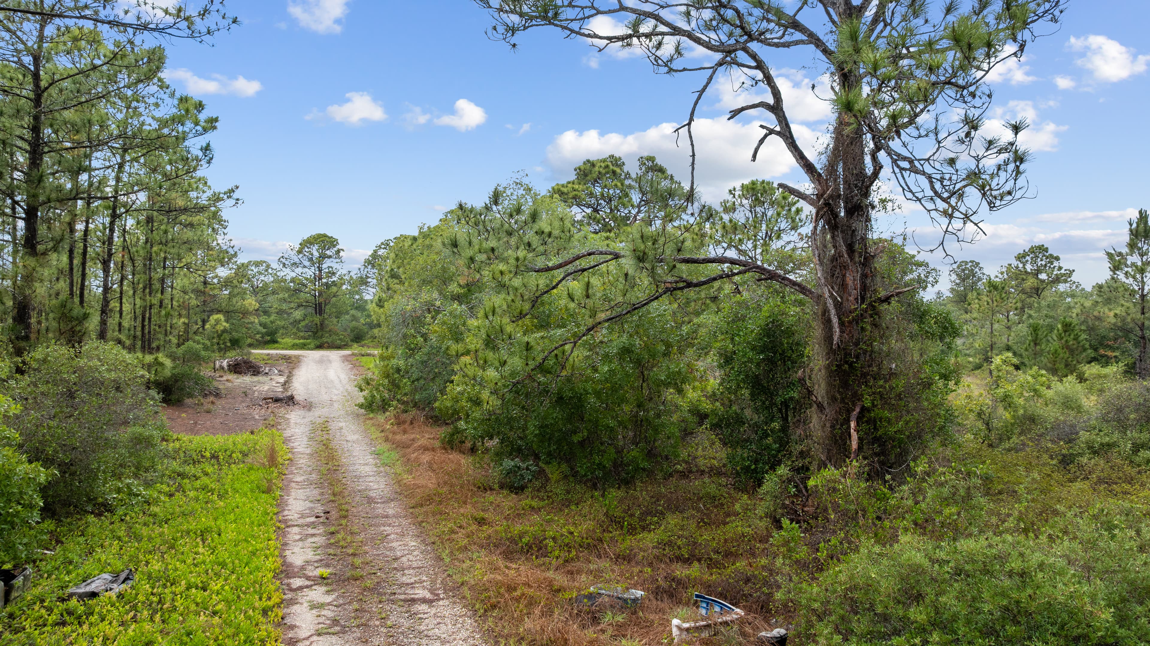 The Hollow Lane Haven: 0.23 Acres of Site-Built Exclusivity — property view 15