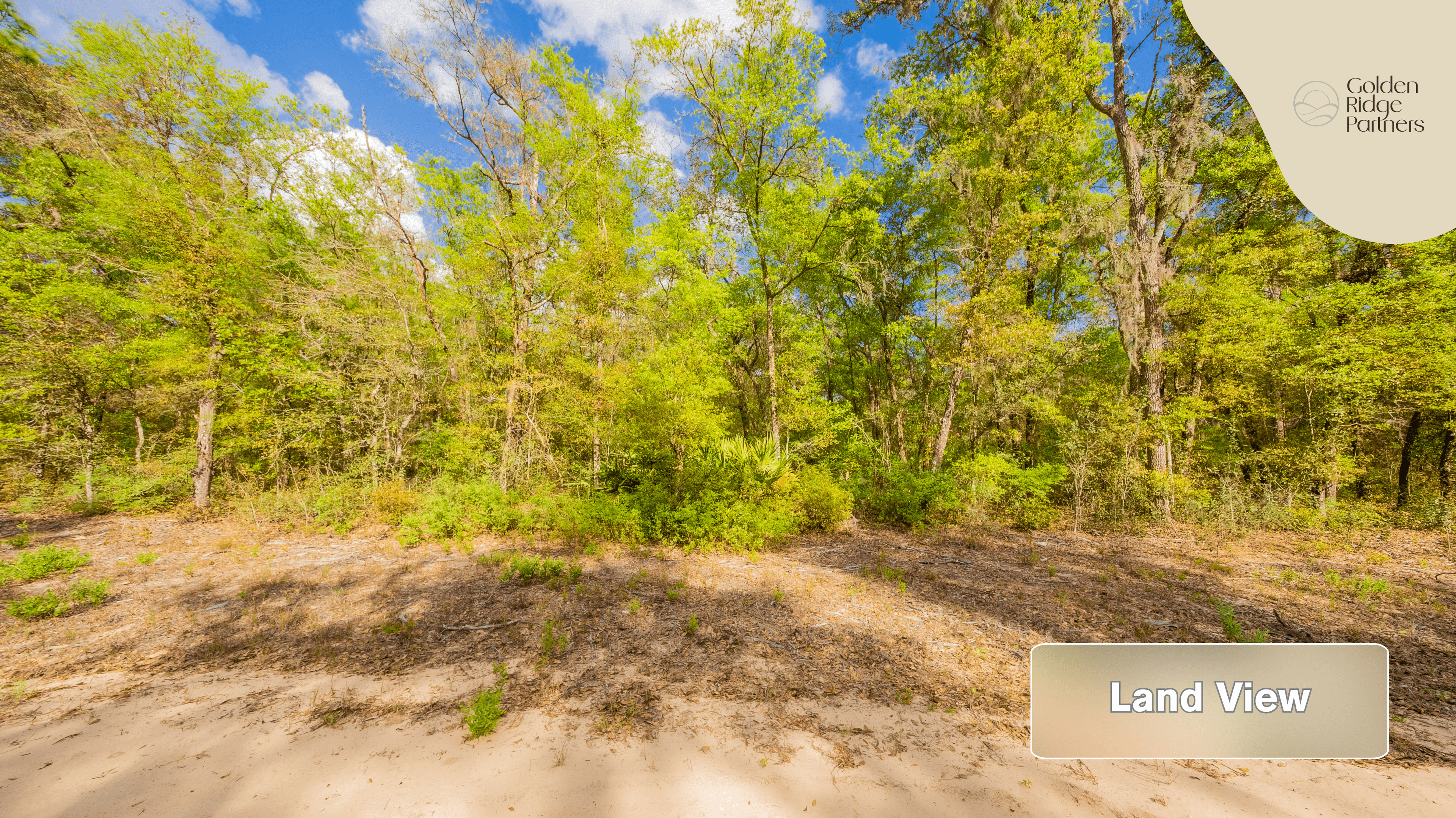 0.22 acre residential zoned land for sale in Putnam County, FL — photo 2