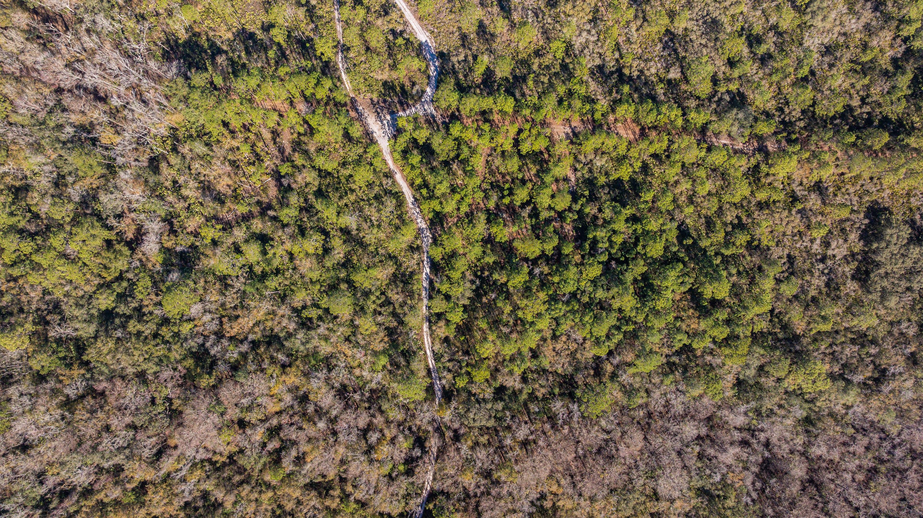 Cultivate Your Freedom in Rio De St Johns — property view 13
