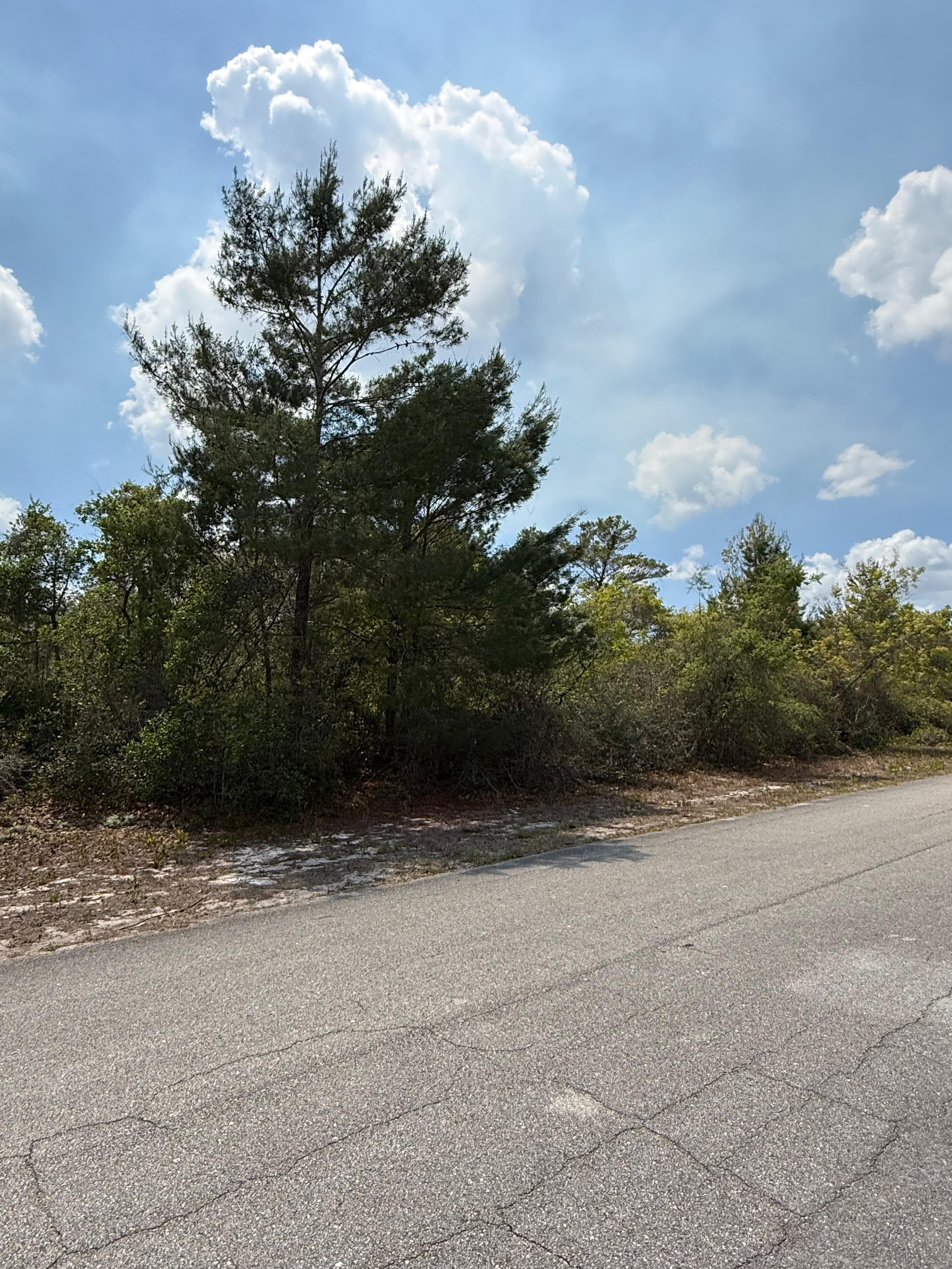 Placid Lakes Premier: 0.23 Paved-Frontage Acres in the Town of Murals — property view 5