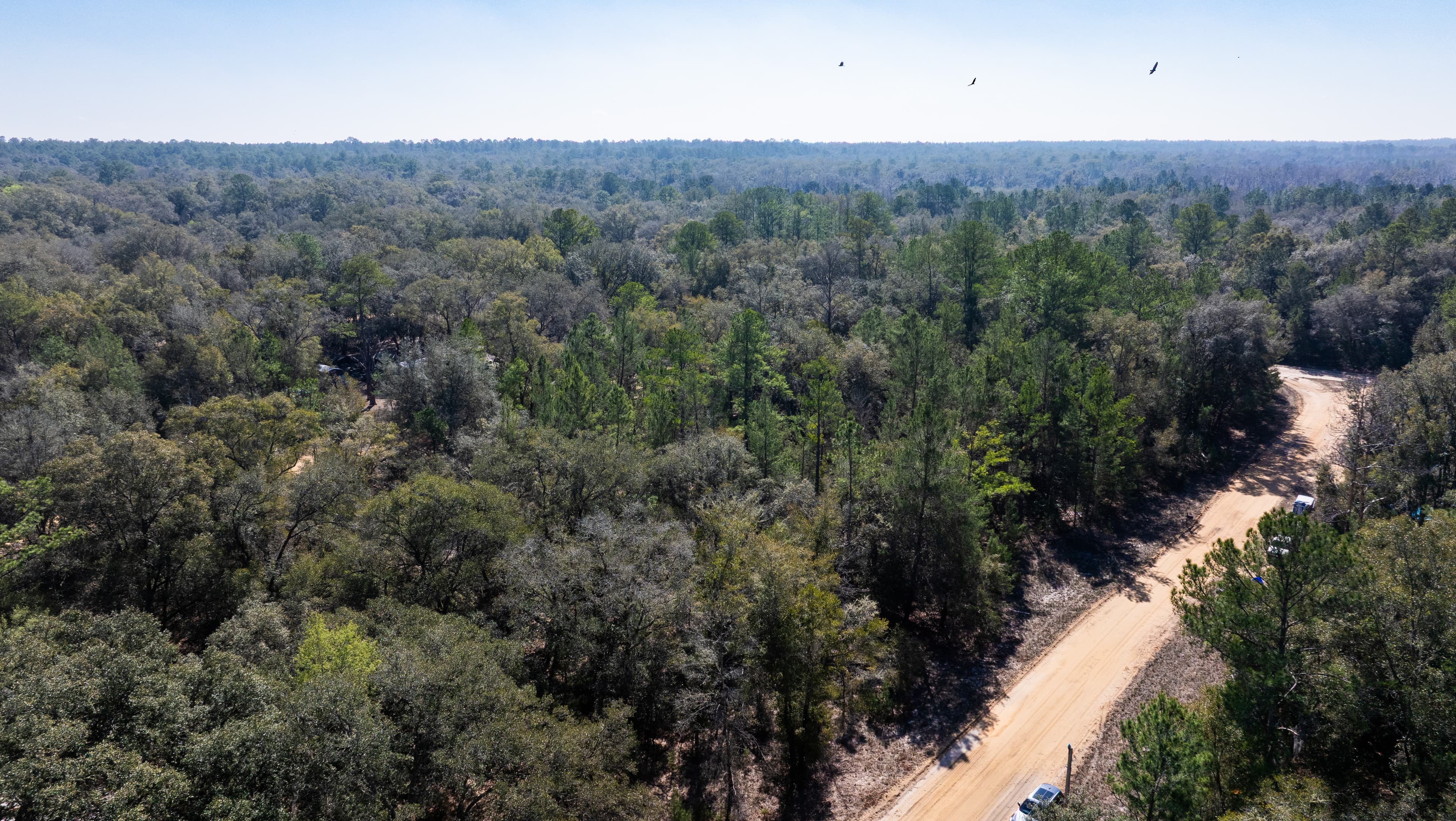 0.44 acre residential zoned land for sale in Putnam County, FL — photo 4
