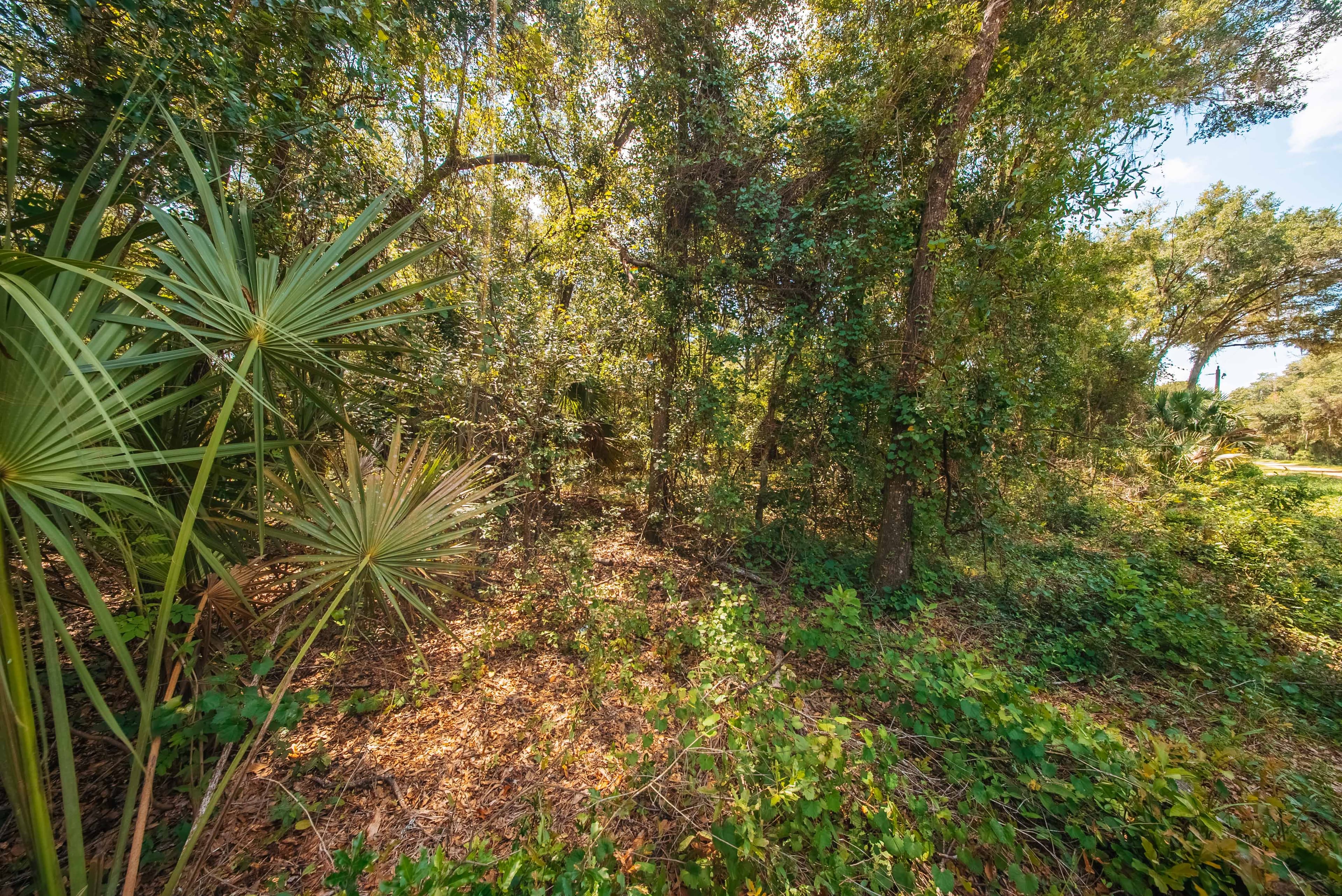 Property View 14