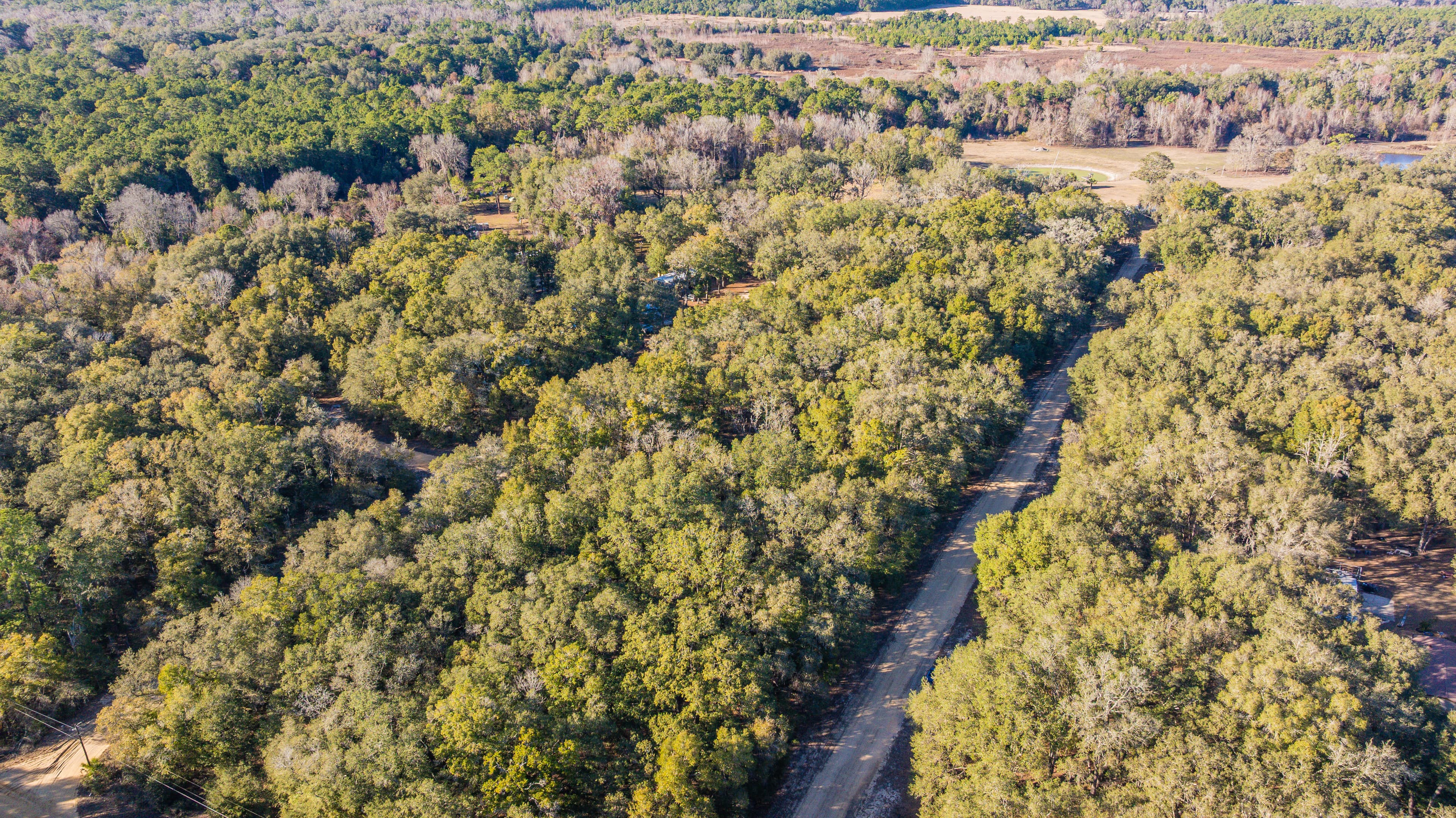 This is Where Dreams Become Reality — property view 5