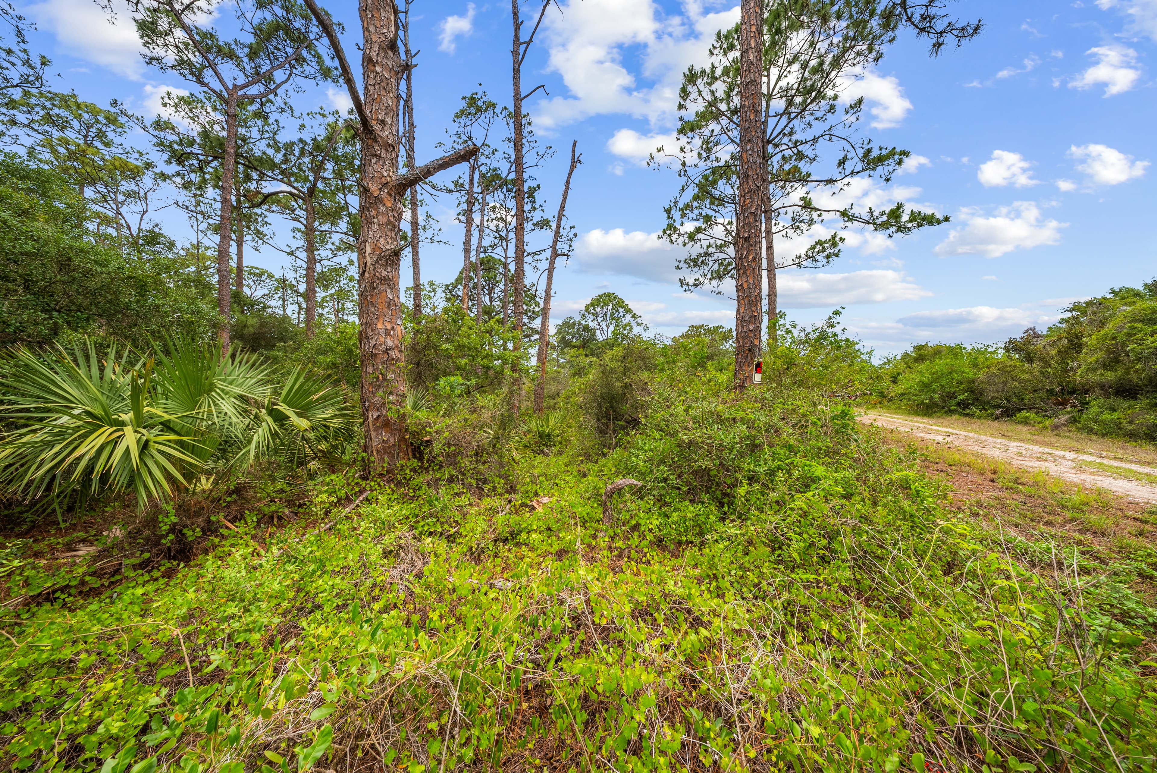 Summertime Summit: 0.23 Acres of Premium Site-Built Land at 144ft Elevation — property view 12