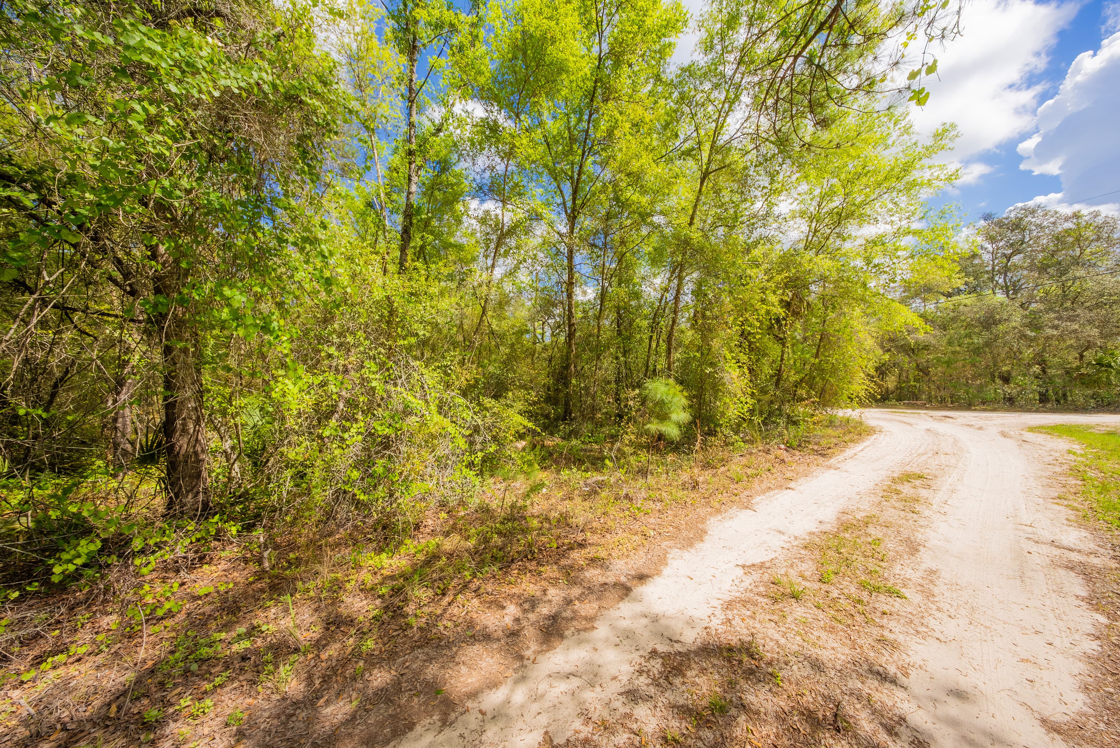 Riverside Estates Retreat: 0.23 Acres Coming Soon to Oklahoma Ave — property view 13