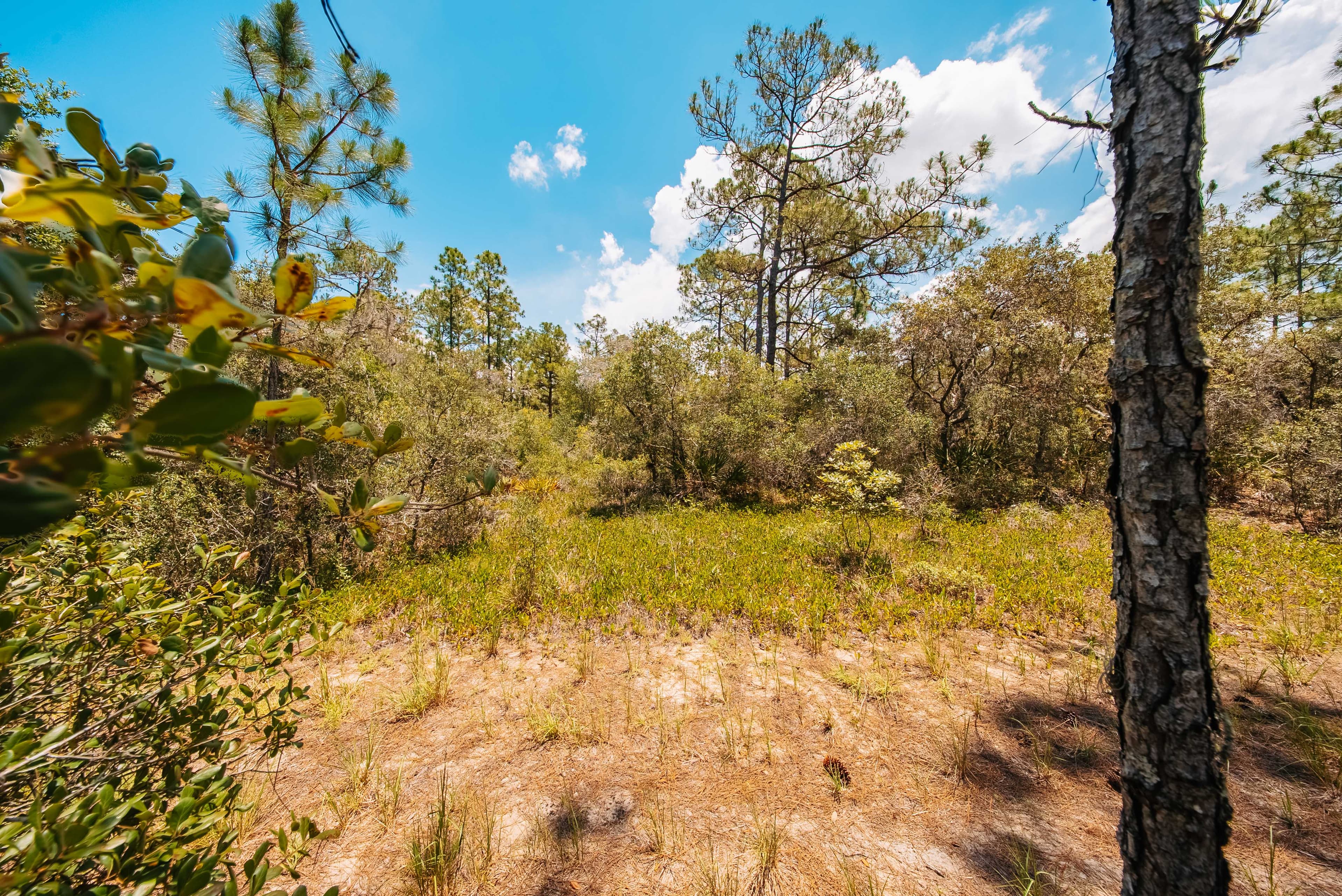 Premium 0.23-Acre High-Elevation Lot in Sun 'N Lakes, Lake Placid — property view 7