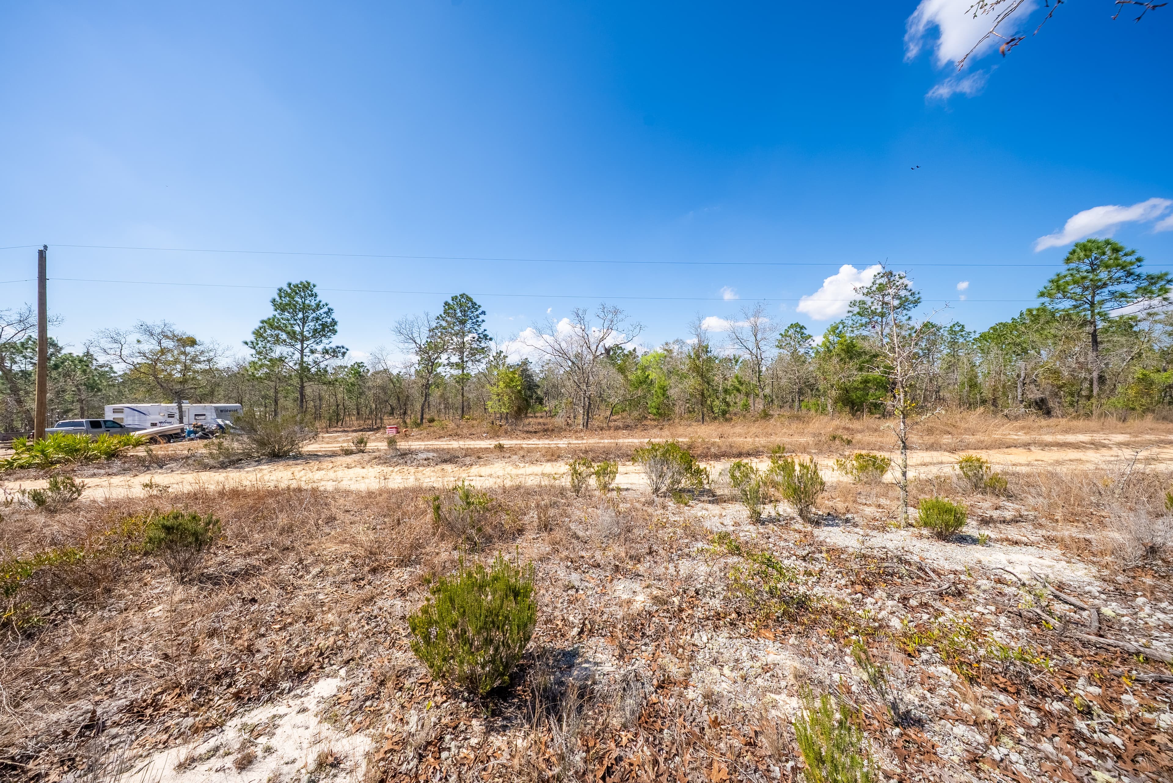 High, Dry, and Deeded: Your 0.2-Acre Florida Lookout — property view 14