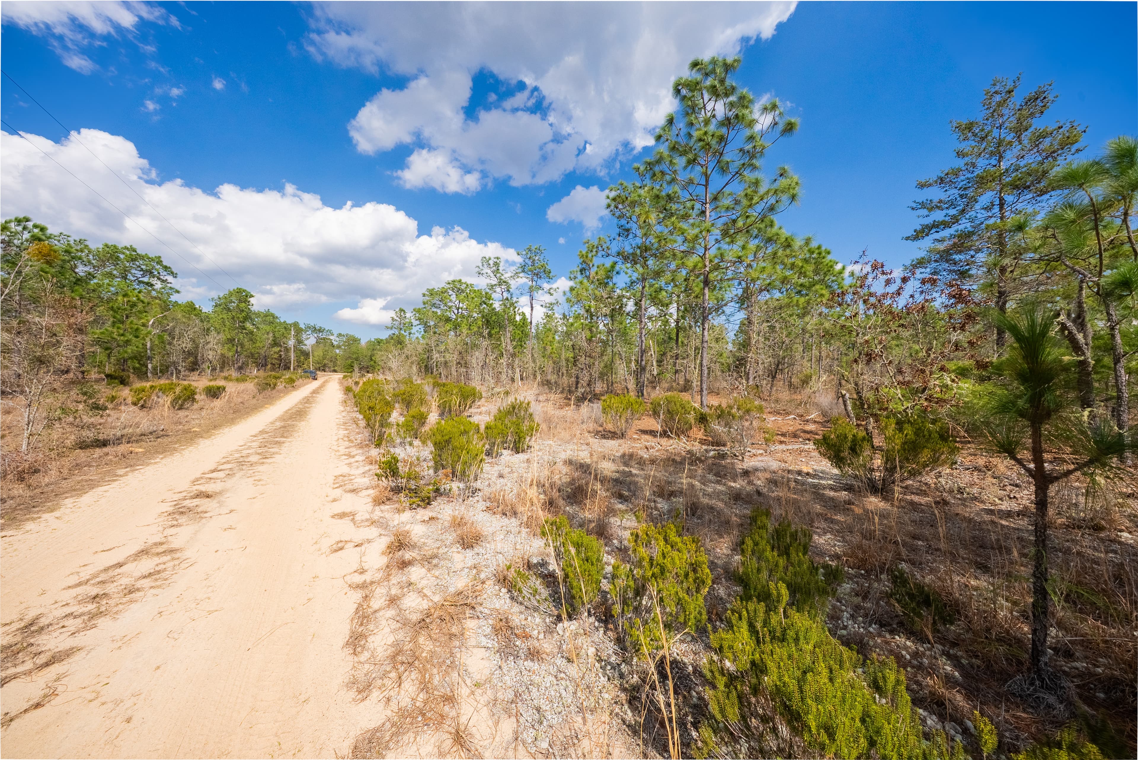 Your Massive Florida Double-Lot Escape — property view 10