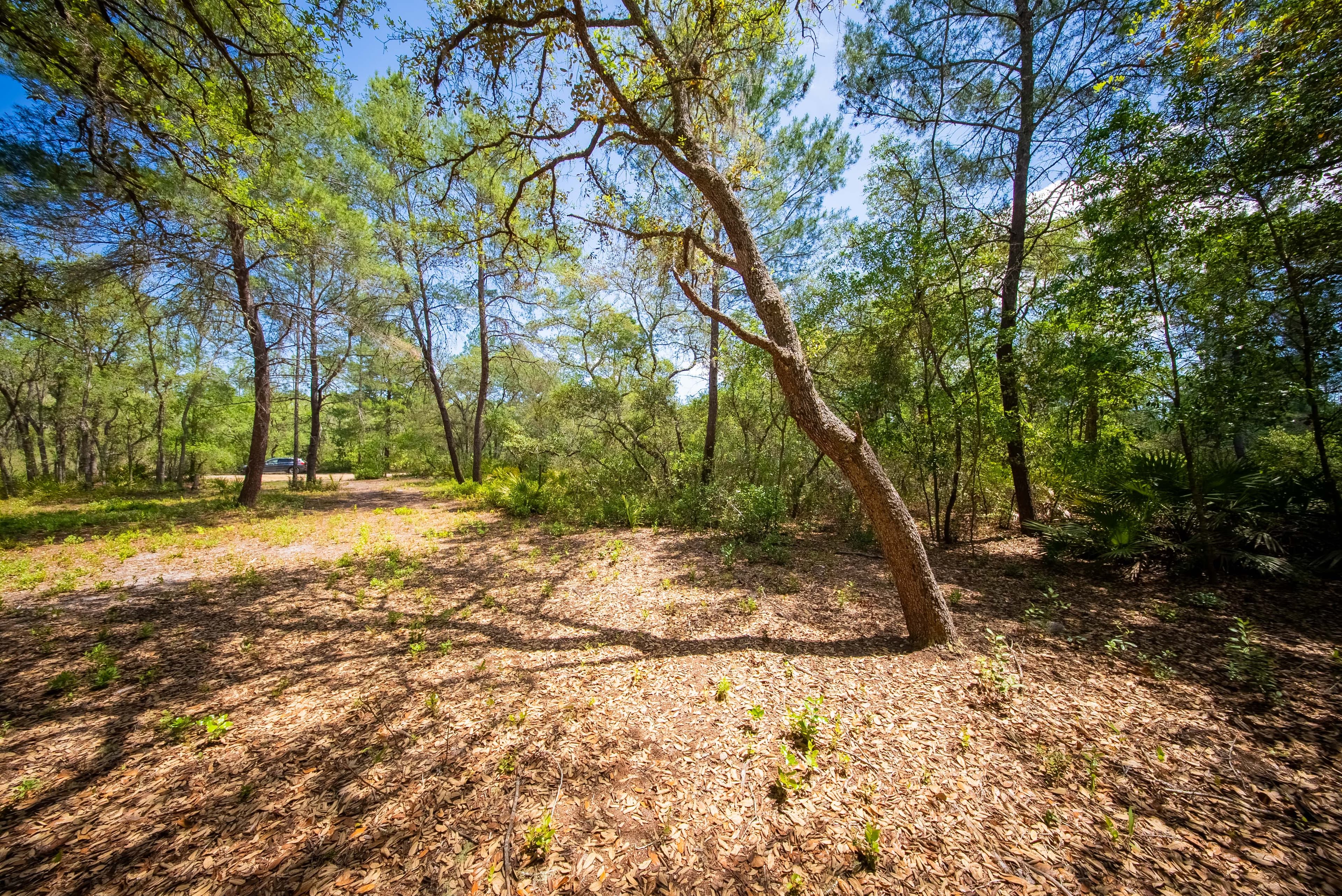 0.156 Acre Build-Ready City Lot with Water & Sewer in Sebring — property view 8