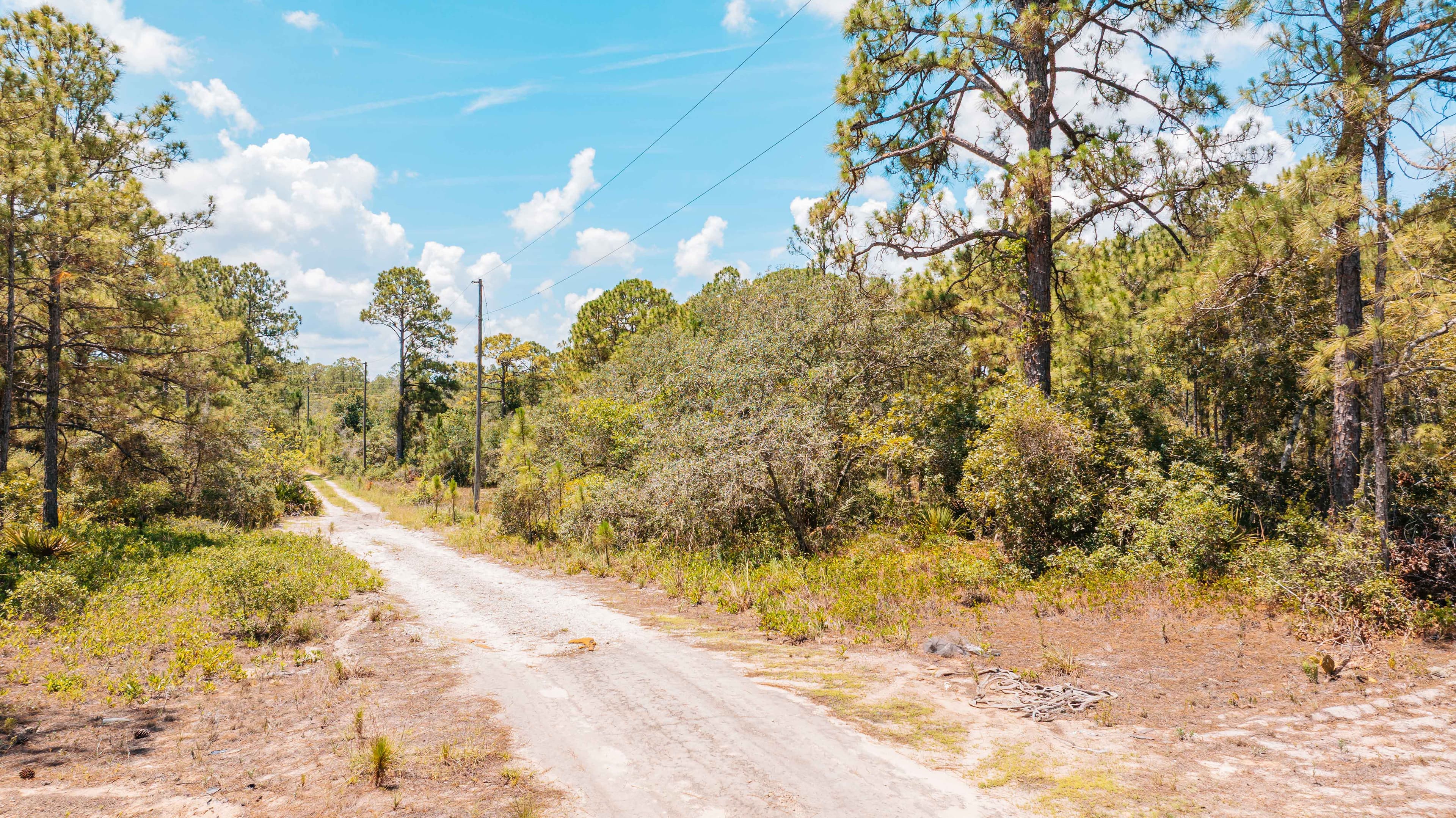  0.24 Acre Build-Ready Lot in Sun N Lakes, Lake Placid — property view 13