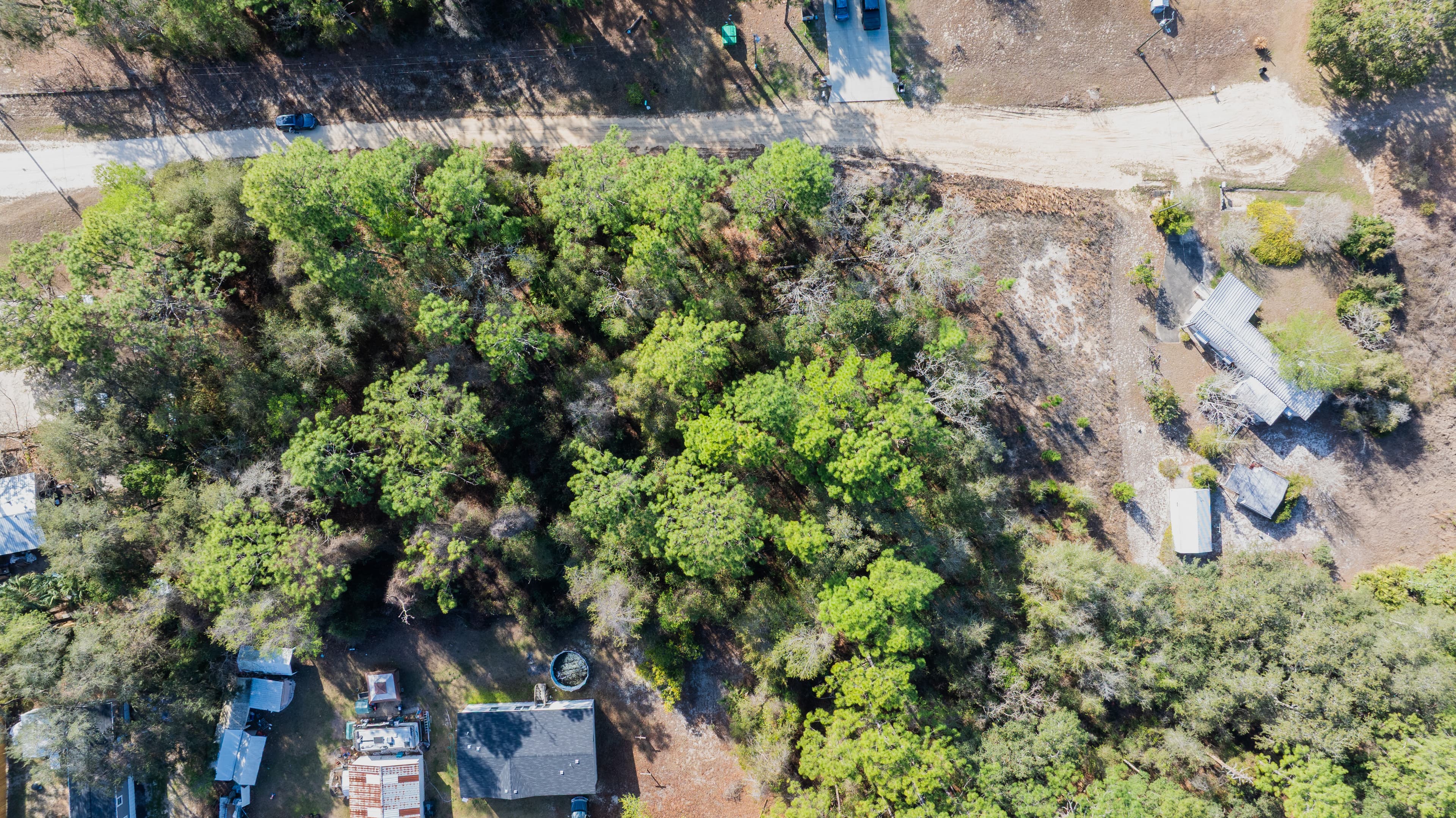 Riverside Retreat: 0.23 Acres on the St. Johns in Wild Florida — property view 6