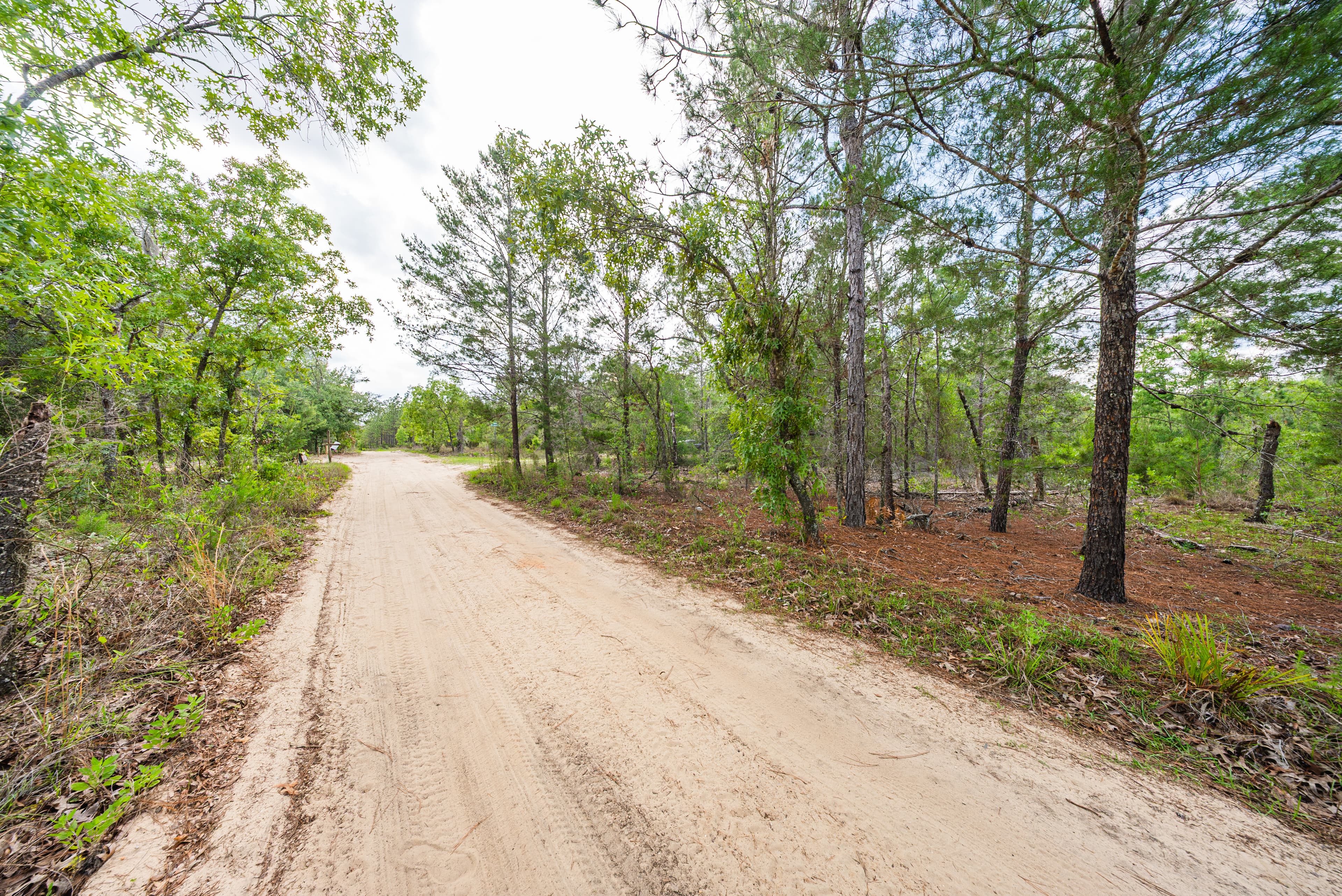 The West Lake Homestead: 0.25 Acres of AG-Zoned Freedom — property view 12