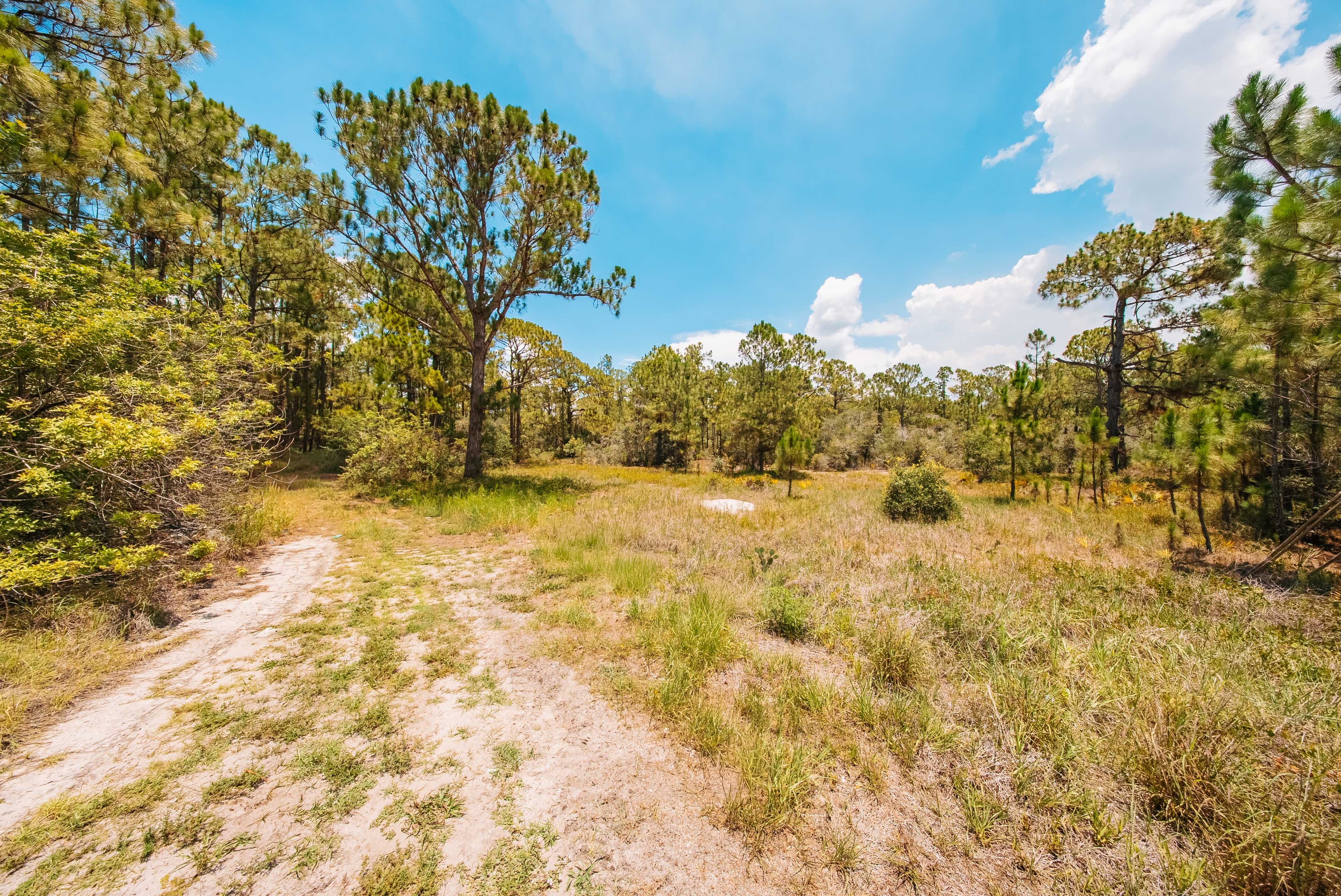 0.2 acre residential zoned land for sale in Highlands County, FL — photo 4