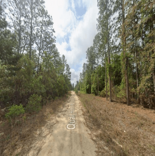 0.23 acre residential zoned land for sale in Putnam County, FL — photo 2