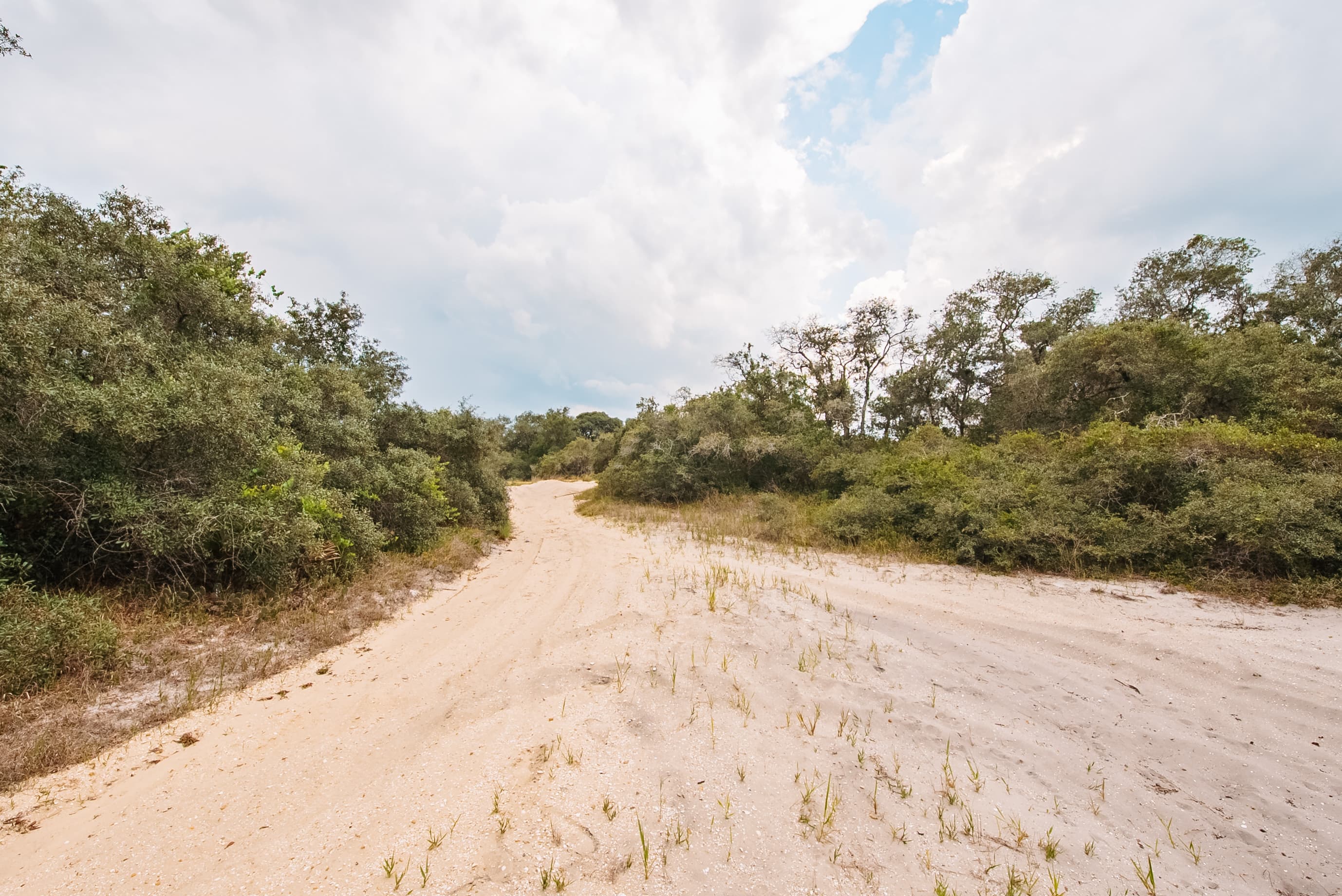 0.23 acre residential zoned land for sale in Highlands County, FL — photo 4