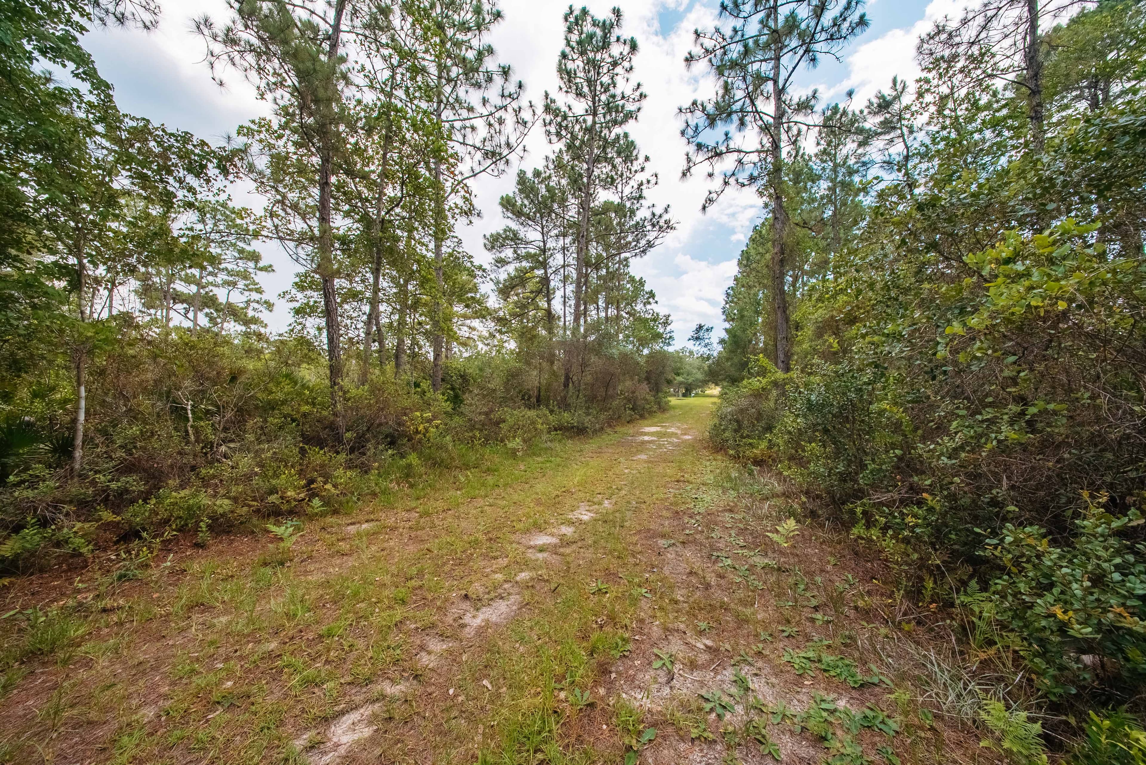 0.23 Acre Build-Ready Lot in St. Johns Riverside Estates — property view 8