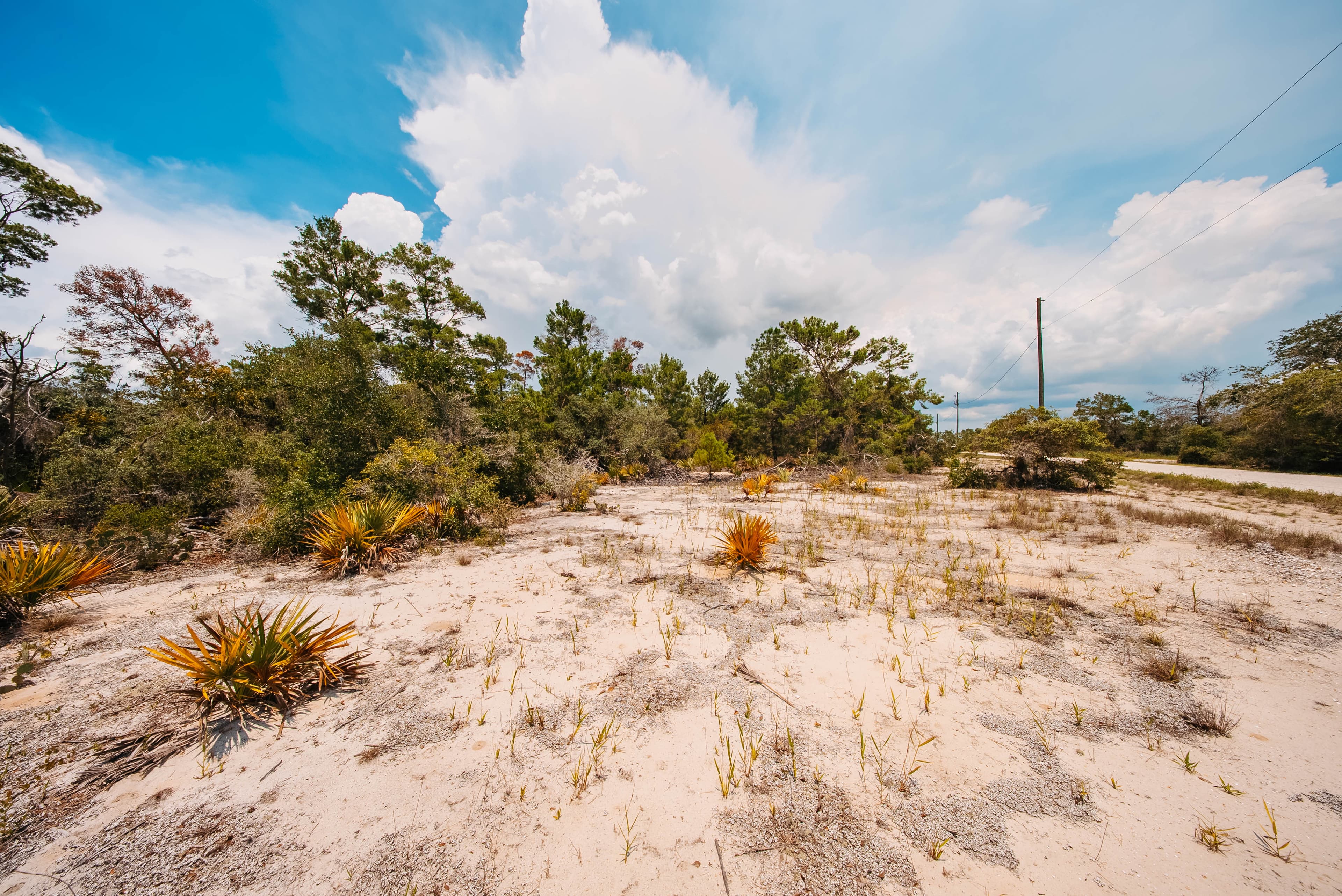 0.23 Acre Build-Ready Lot in Sun N Lakes, Lake Placid — property view 12
