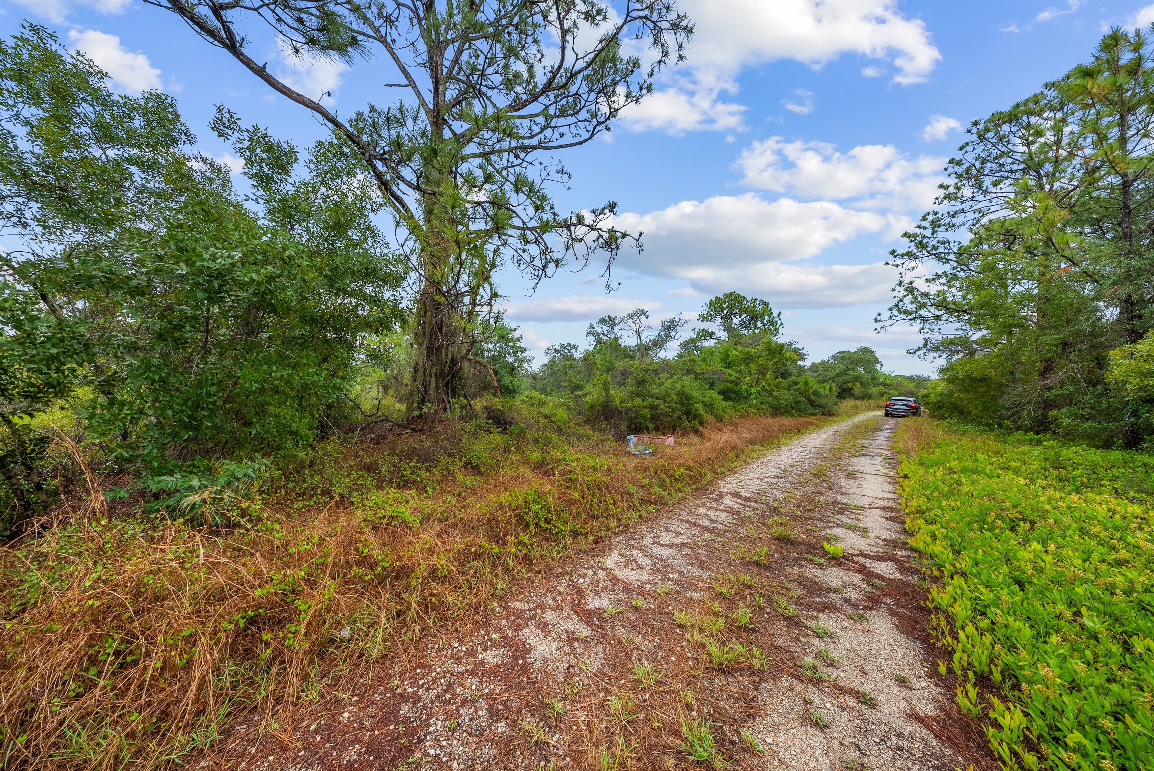 The Hollow Lane Haven: 0.23 Acres of Site-Built Exclusivity — property view 7