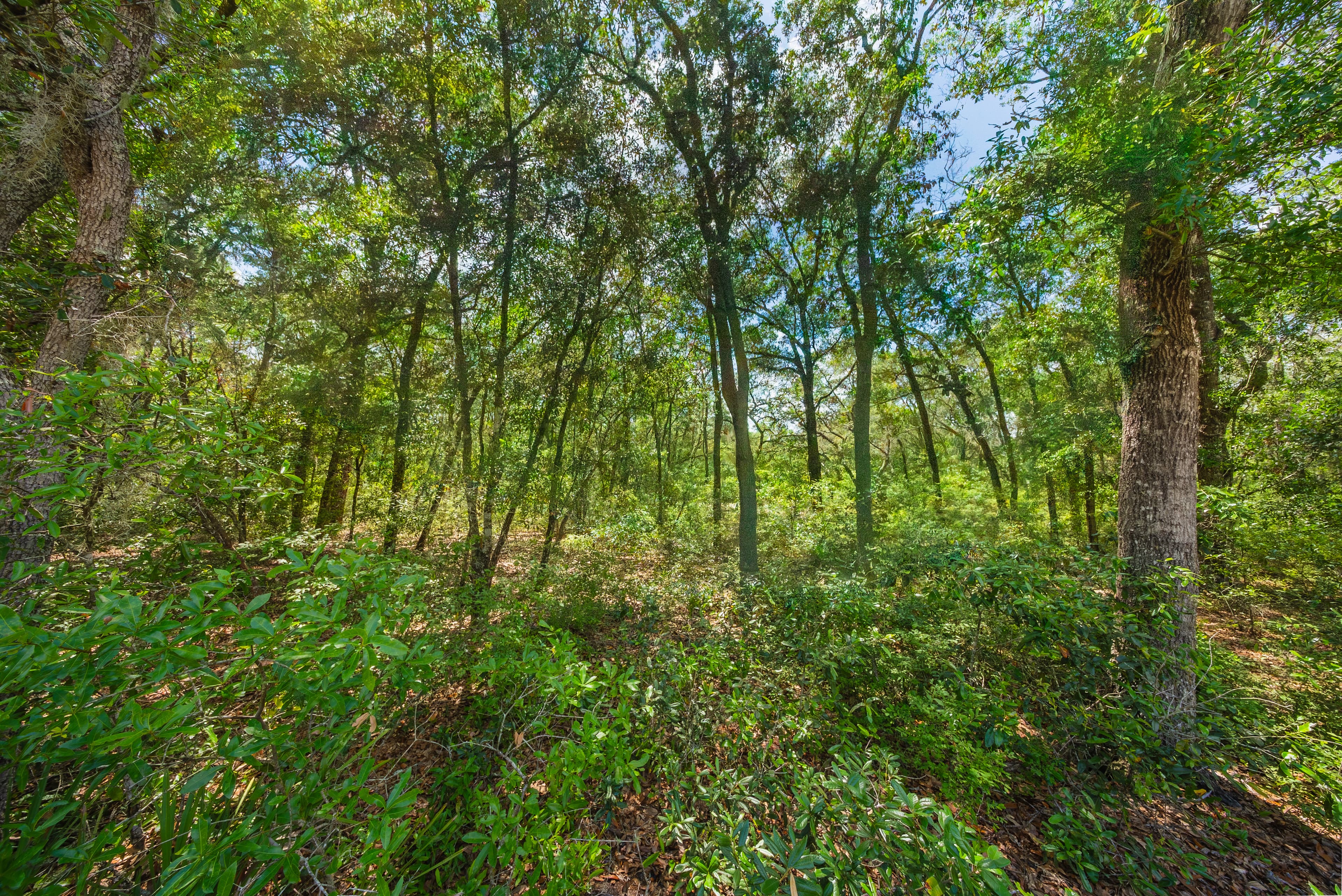 The Interlachen Summit: 0.22 Acres at an Incredible 205ft Elevation — property view 6