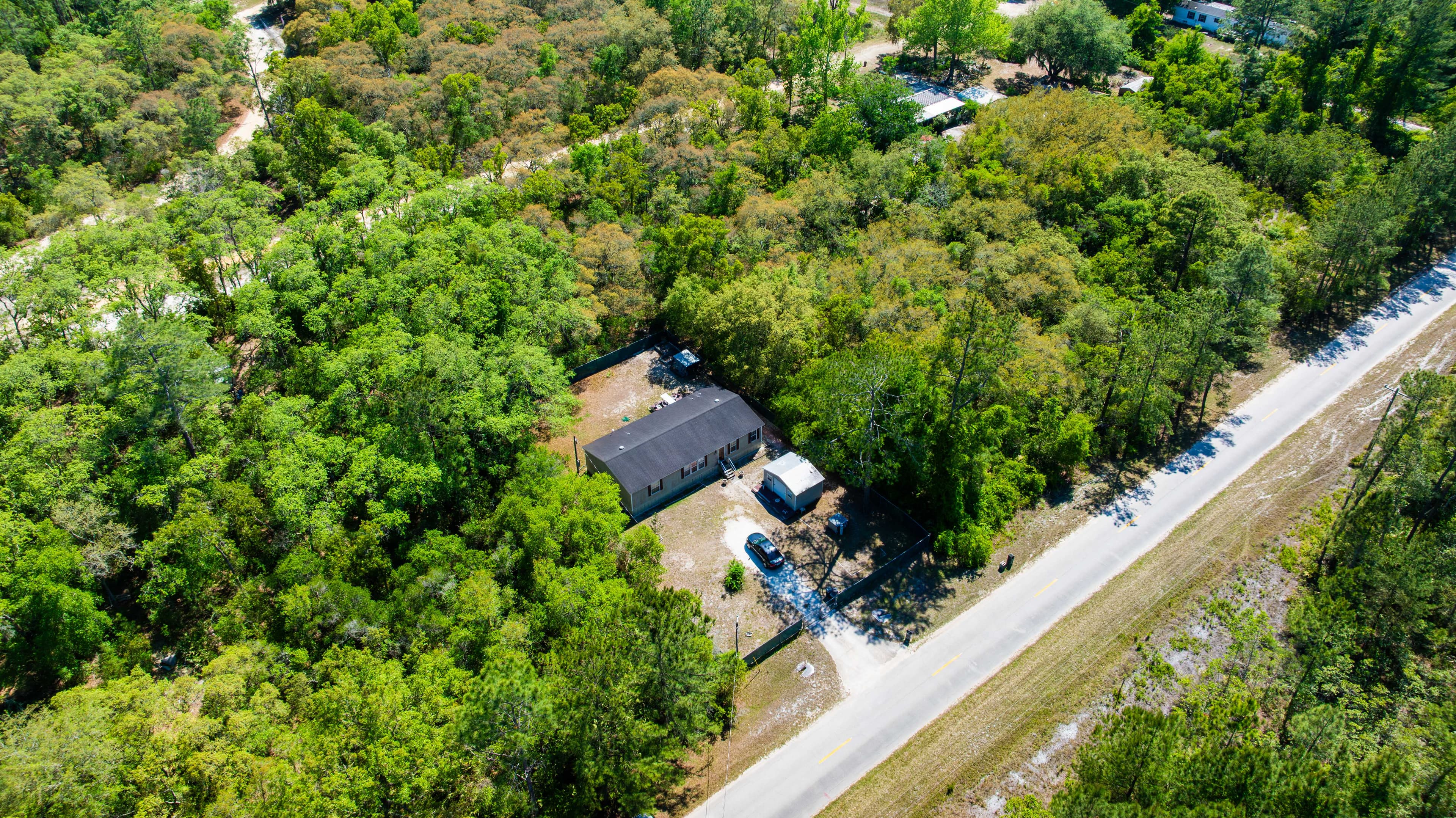 The Hickory Nut Haven: 0.24 Acres of Wooded Freedom in Wild Florida — property view 6