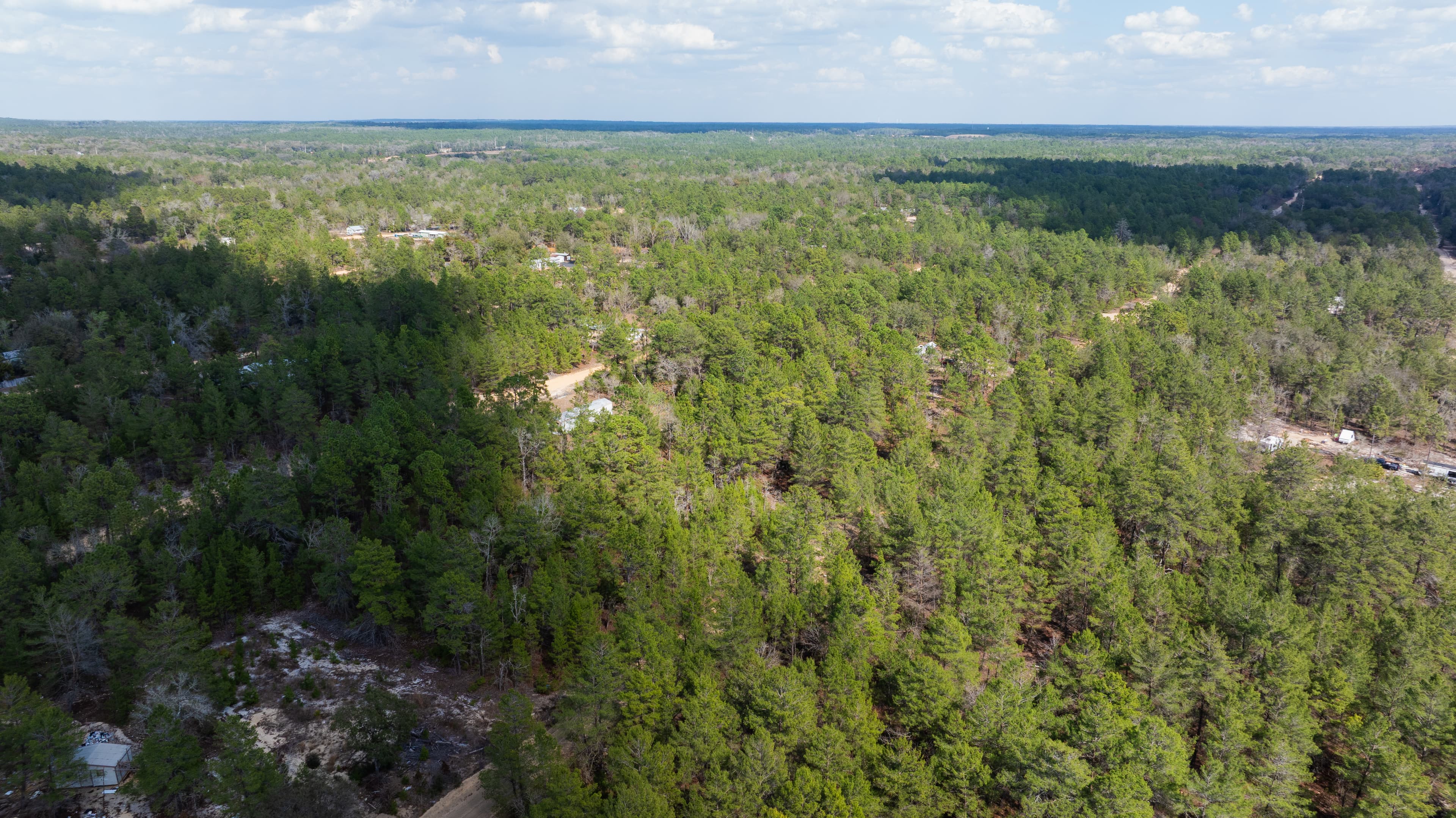 The Ridge Retreat: 0.4 Acres of Treed Privacy in Wild Florida