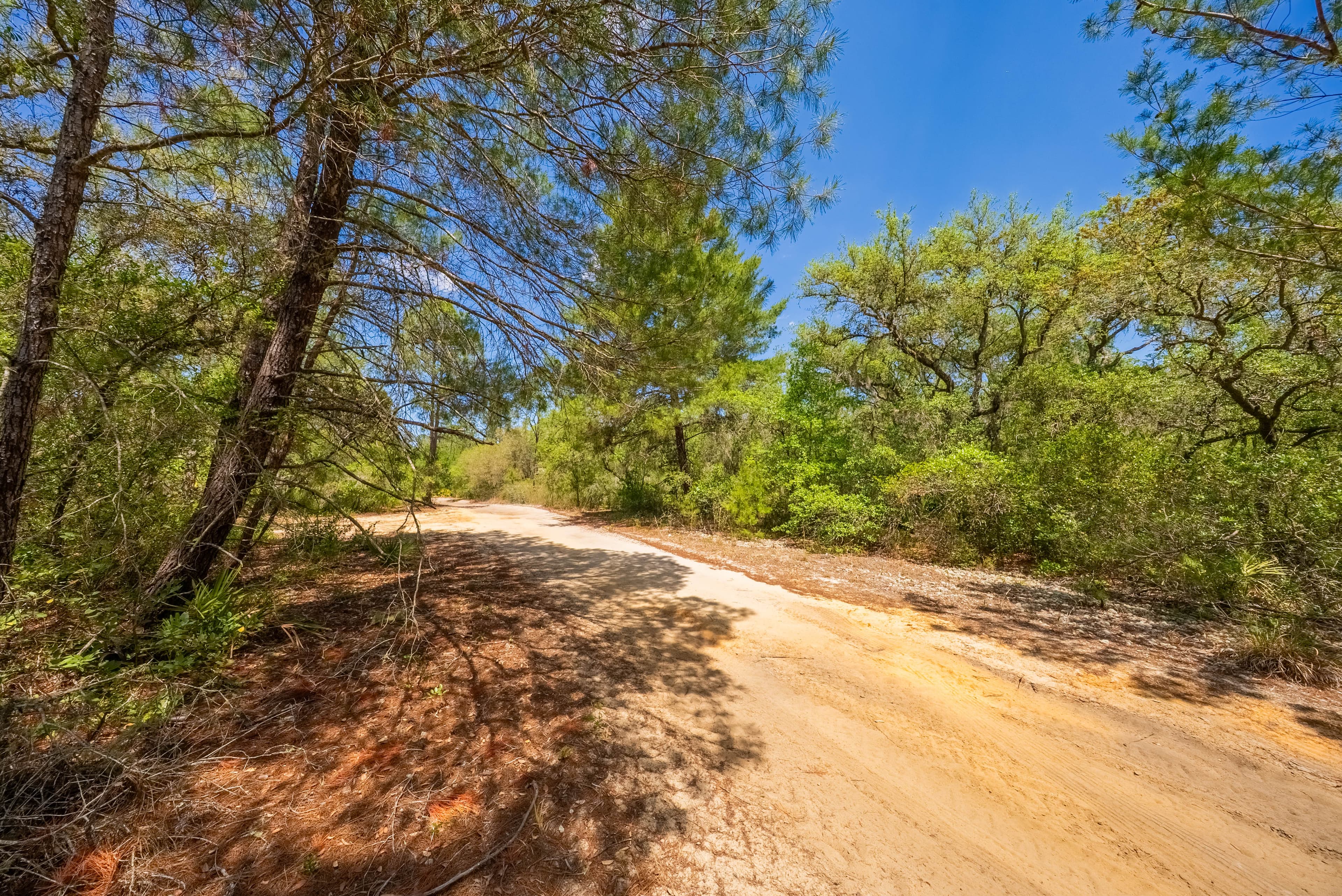 0.156 Acre Build-Ready City Lot with Water & Sewer in Sebring — property view 12