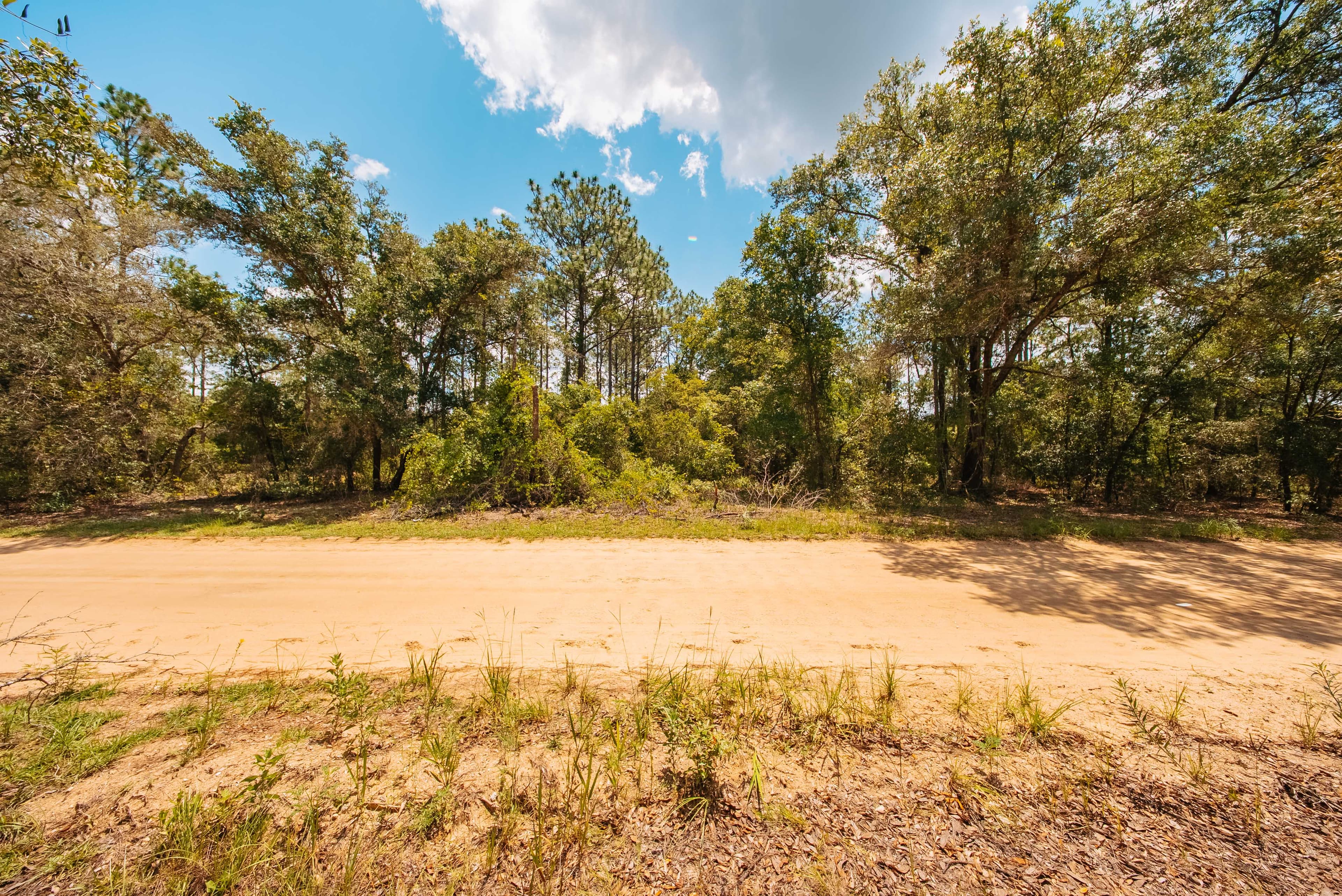 0.20 Acre Build-Ready Lot in West Lake Estates, Interlachen — property view 11