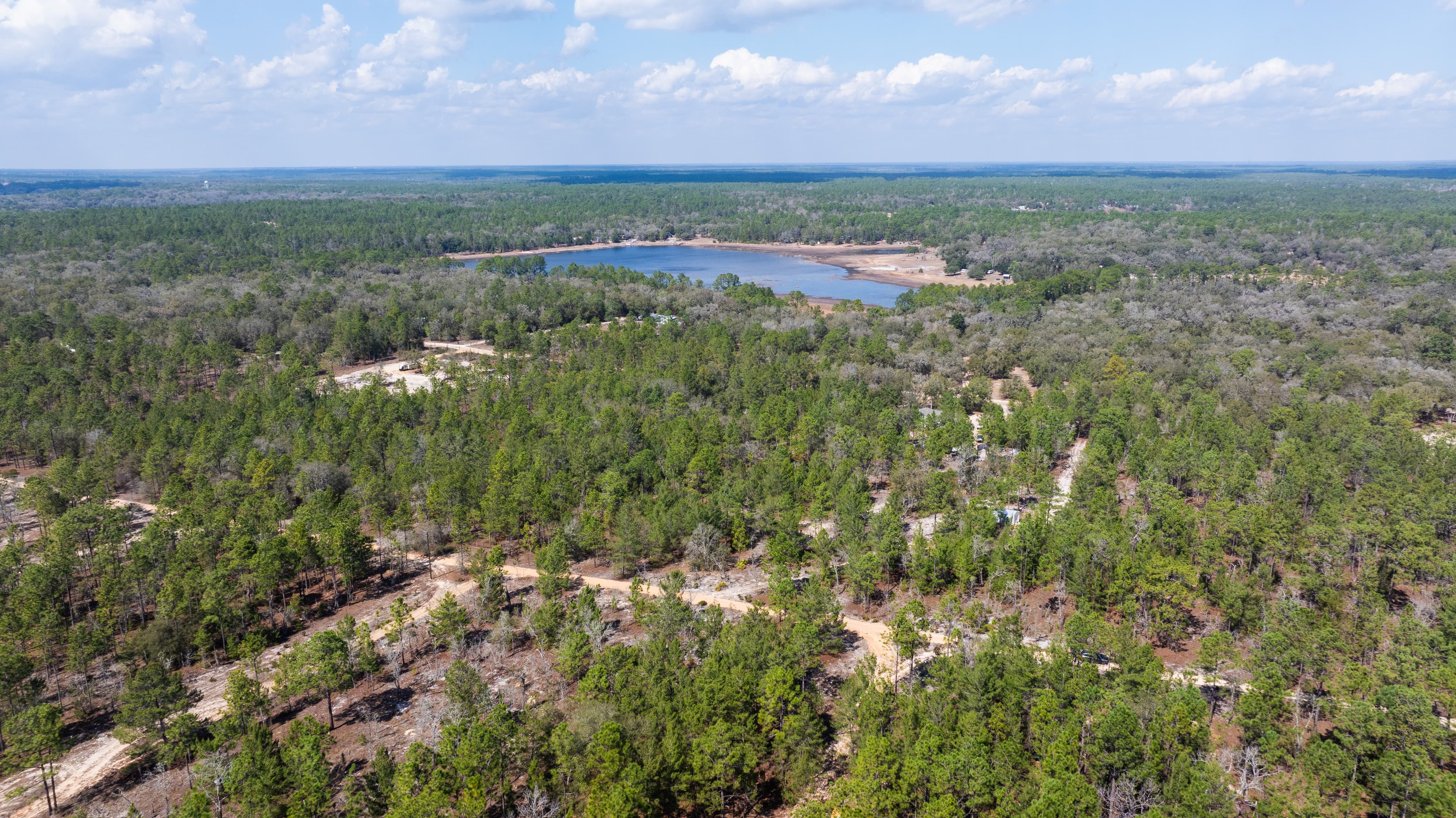The High-Ground Corner: 0.37 Deeded Acres in Wild Florida — property view 8