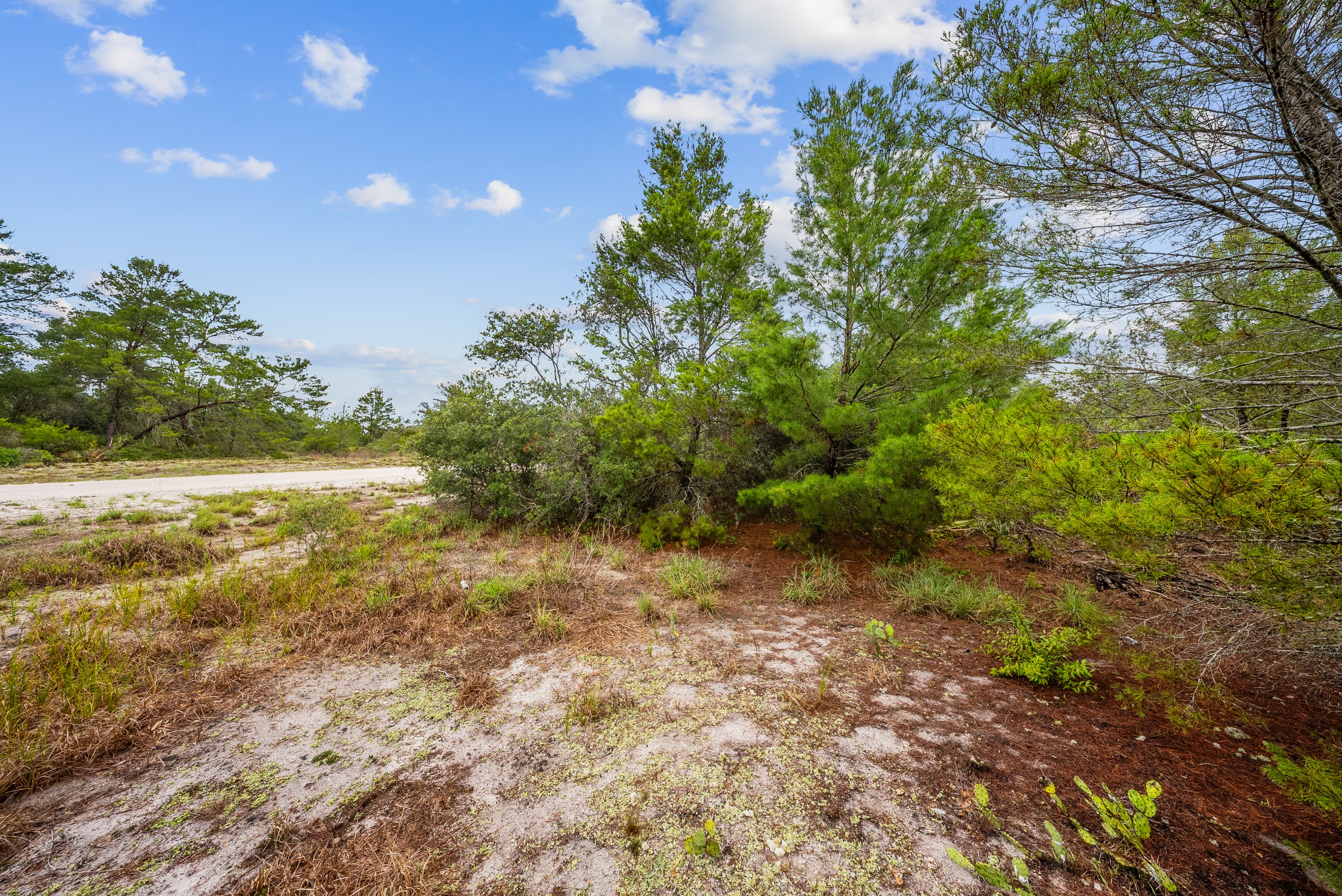 Morningside Heights: 0.23 Acres of R-1 Residential Freedom — property view 8