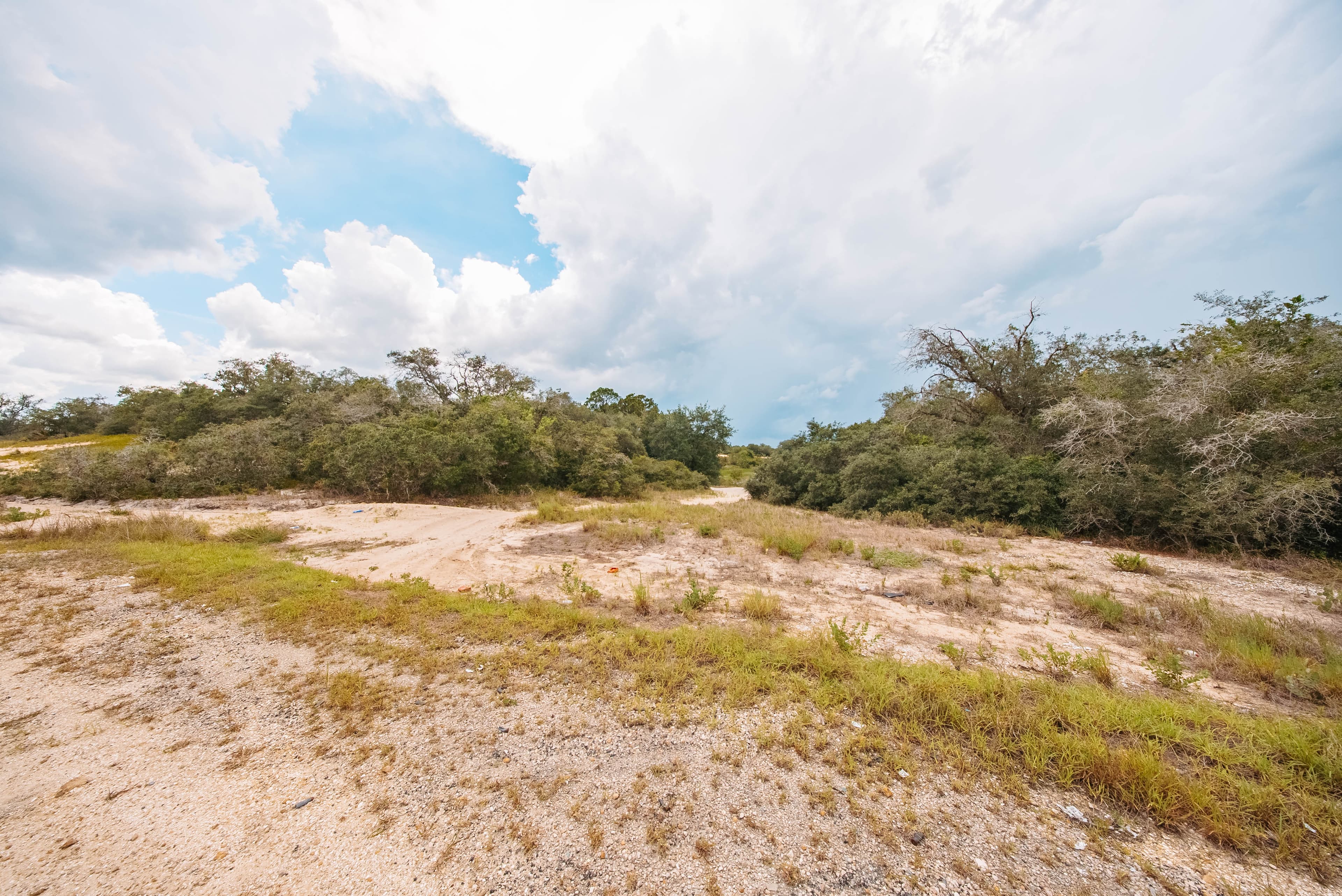 0.23 Acre Build-Ready Lot in Sun N Lakes, Lake Placid — property view 8