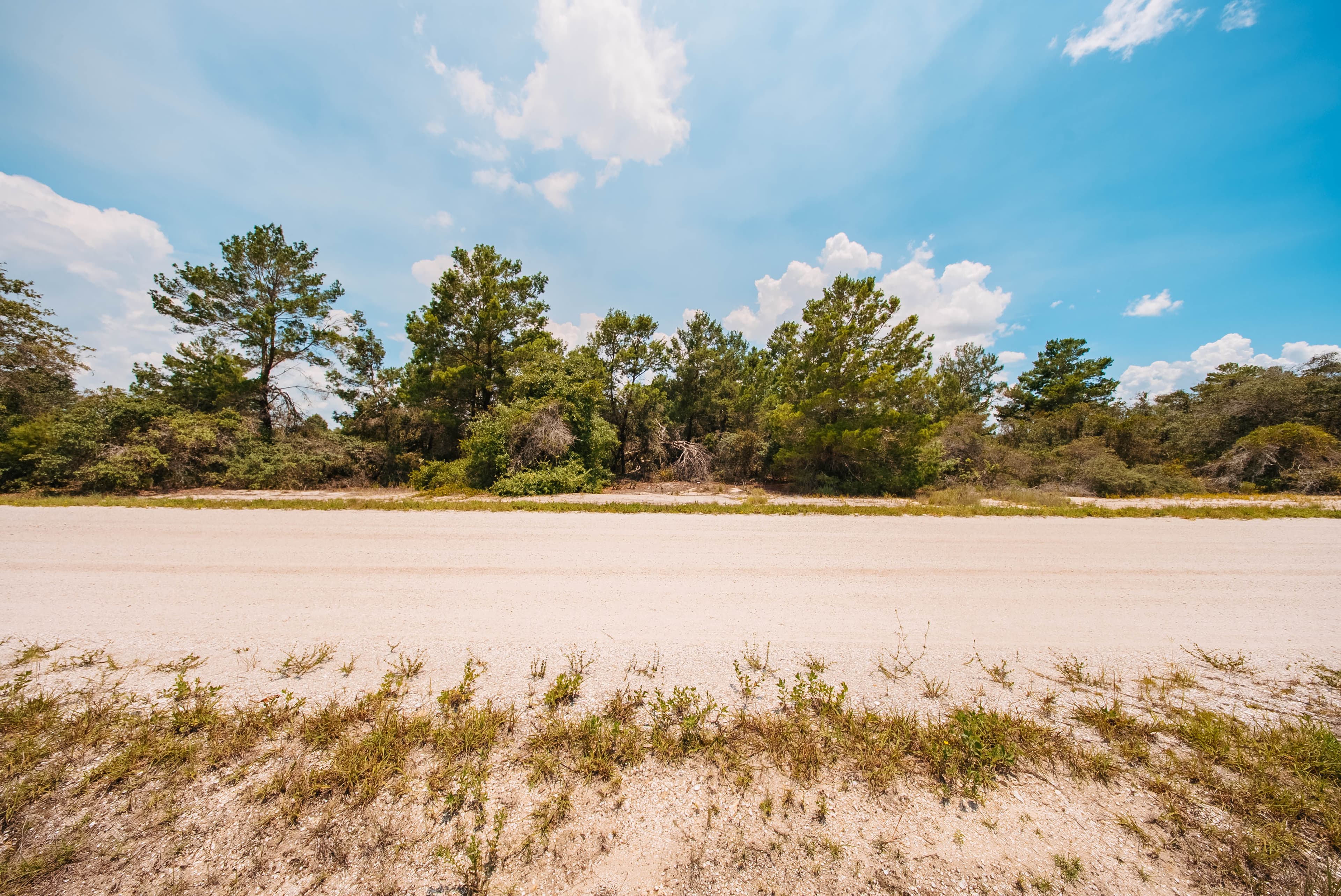 0.23 Acre Build-Ready Lot in Sun N Lakes, Lake Placid — property view 15