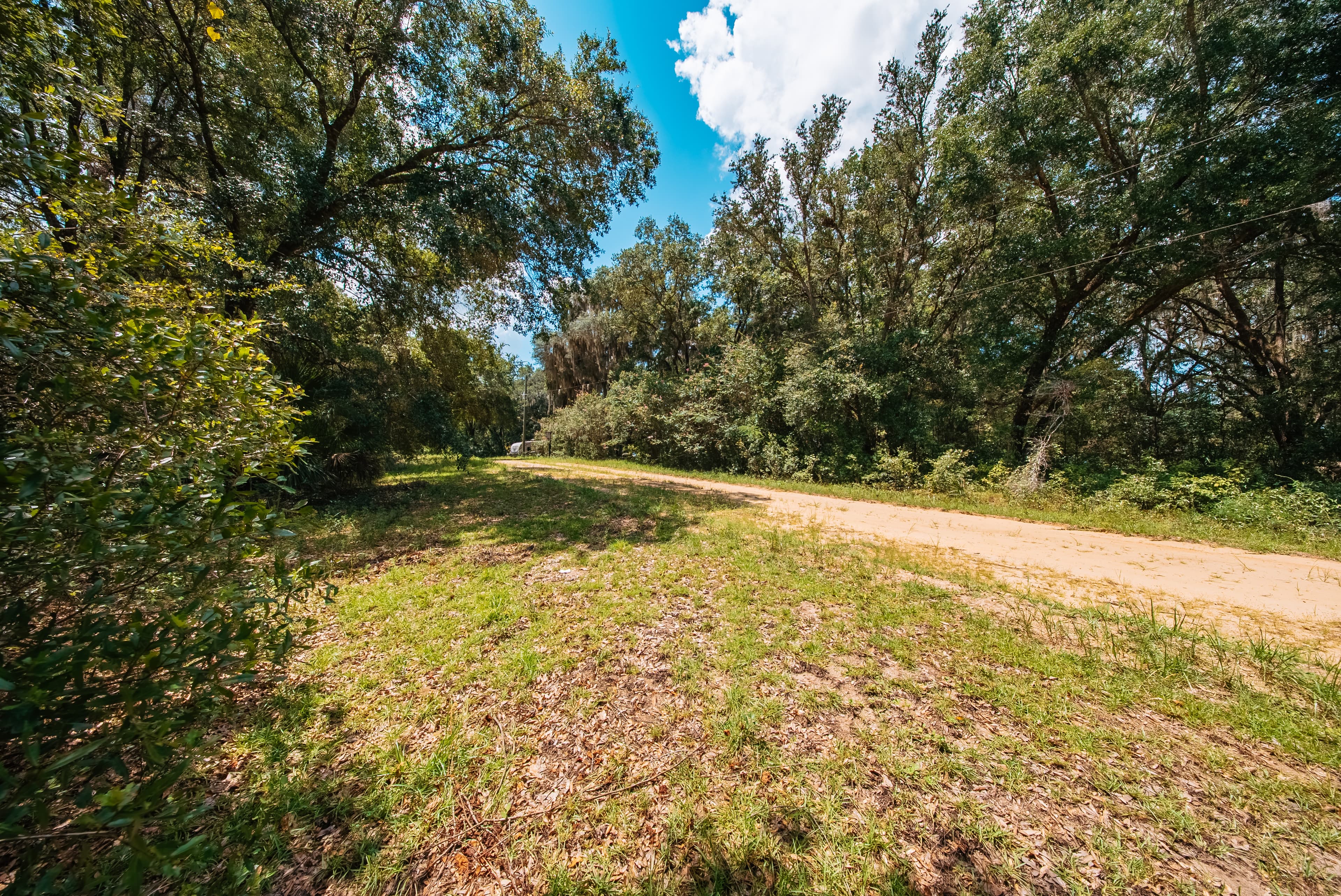 0.215 Acre Build-Ready Lot in Interlachen Lakes Estates — property view 5