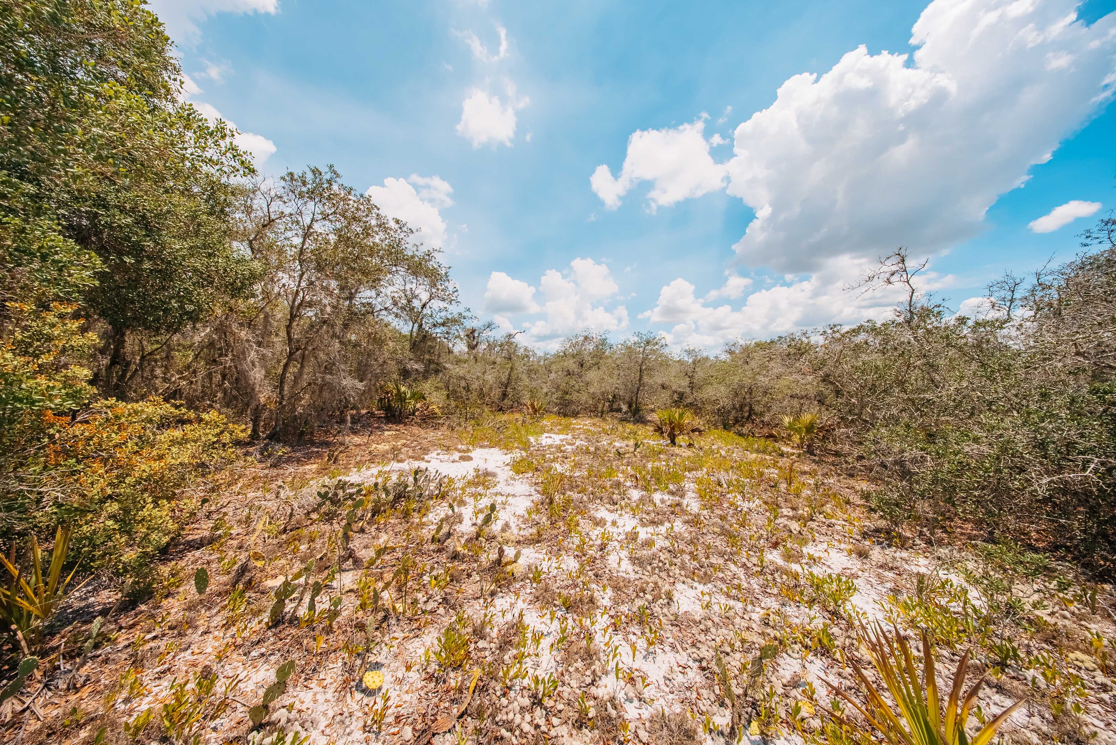 0.24 Acre Build-Ready Lot in Sun N Lakes — property view 15
