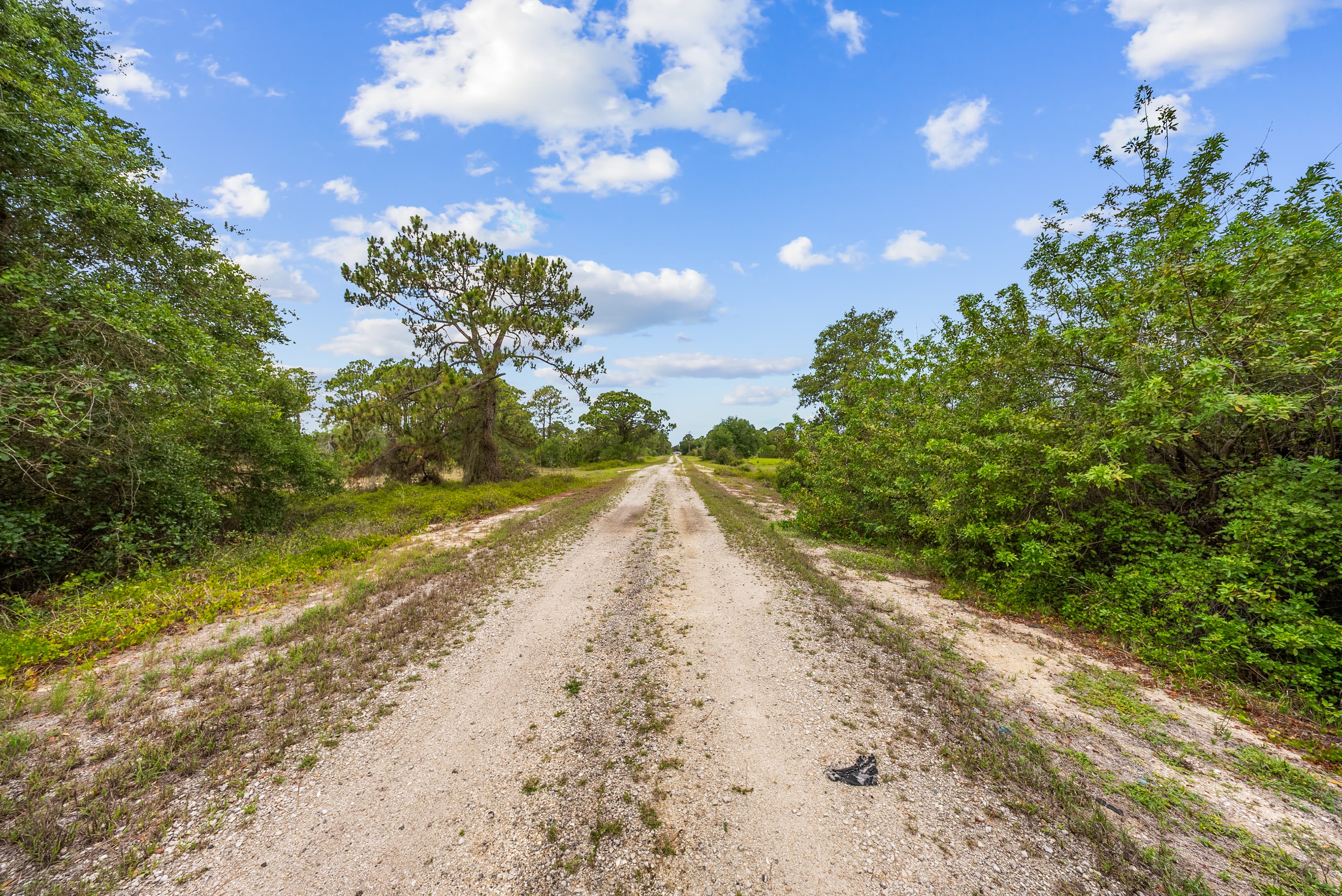 Summertime Summit: 0.23 Acres of Premium Site-Built Land at 144ft Elevation — property view 10