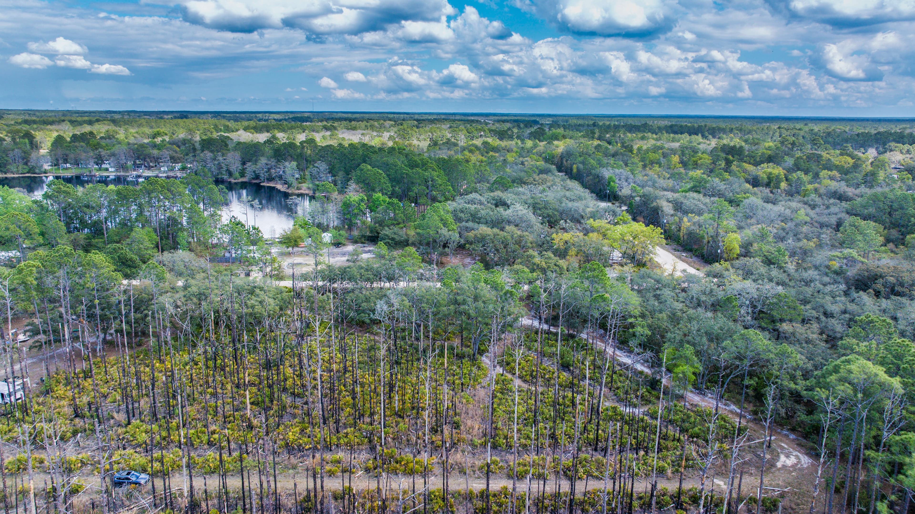The Dana Avenue Sanctuary: 0.22 High-Elevation Acres in Interlachen — property view 10