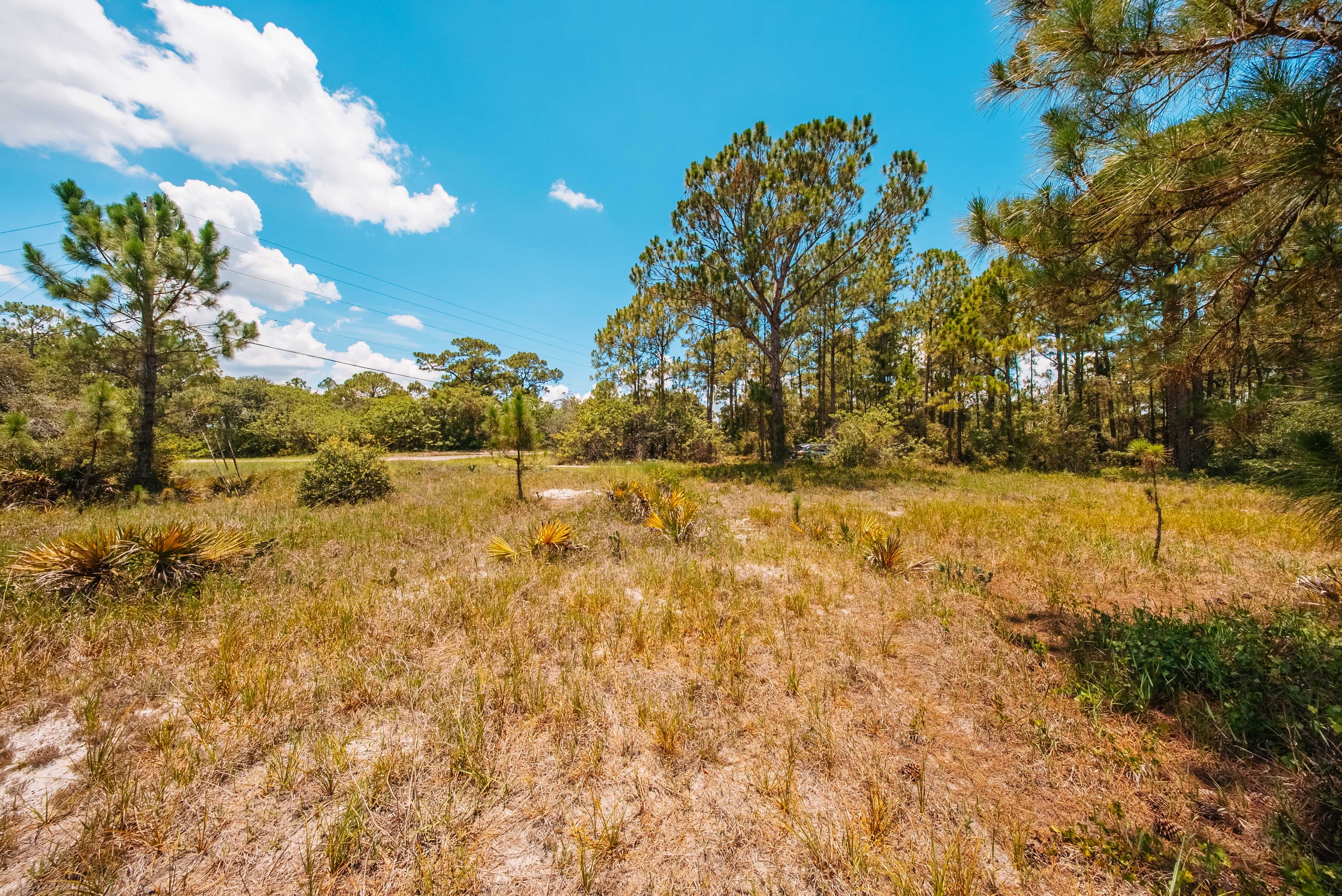 0.20 Acre Build-Ready Lot in Sun 'N Lakes, Lake Placid — property view 7