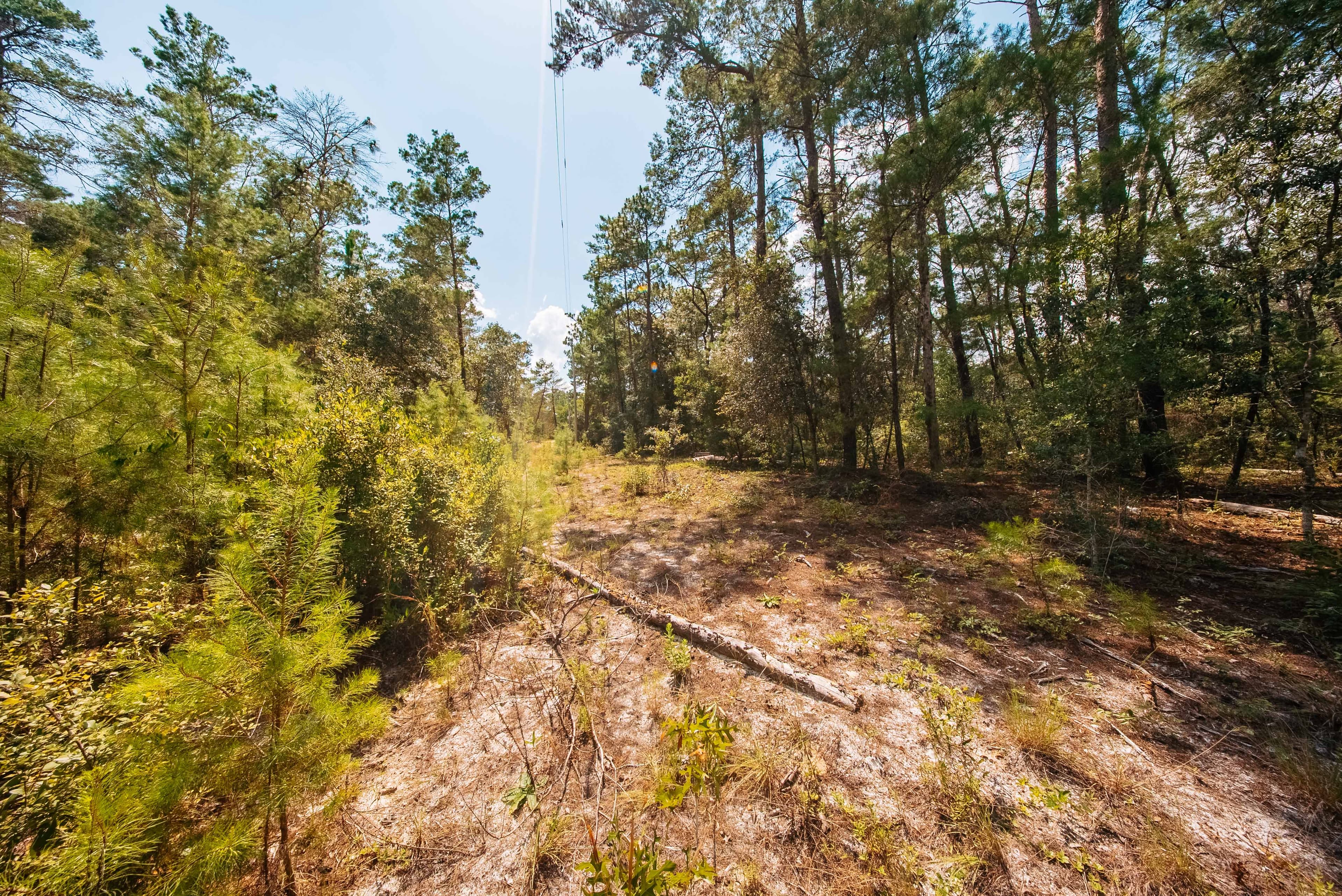0.23 Acre Build-Ready Lot in Satsuma, Putnam County — property view 10