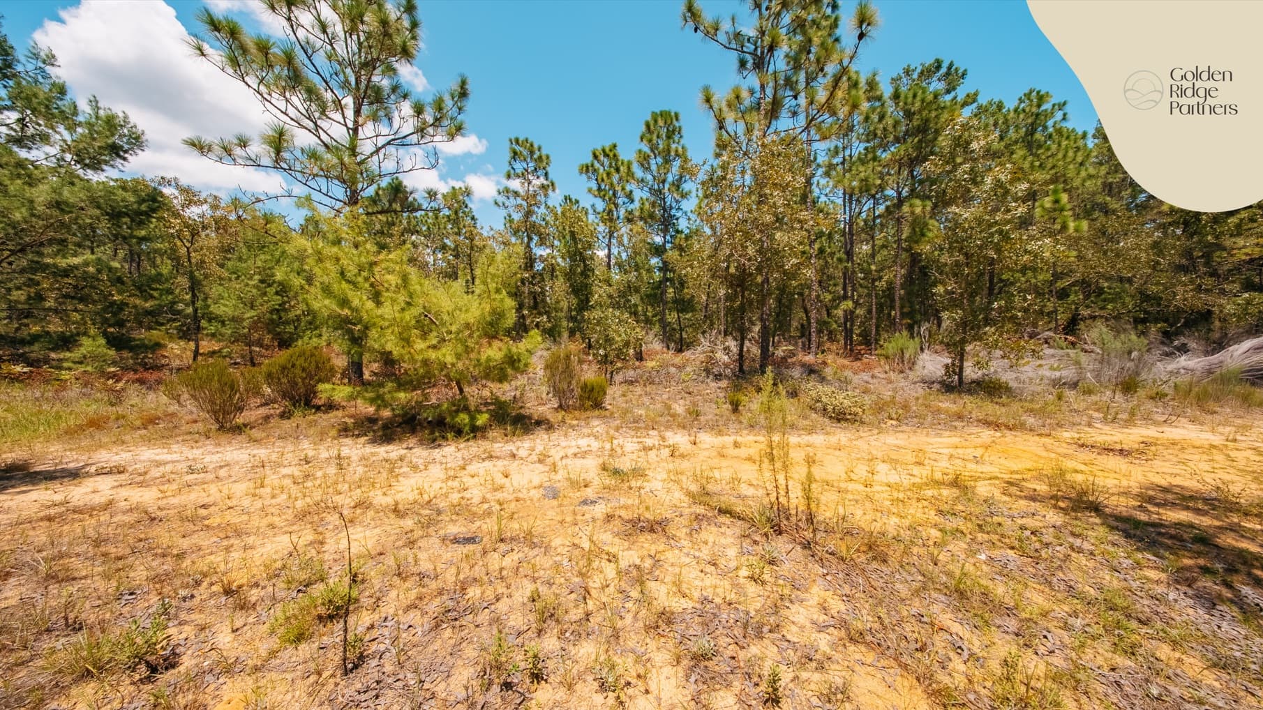 1.03 acre residential zoned land for sale in Putnam County, FL — photo 3