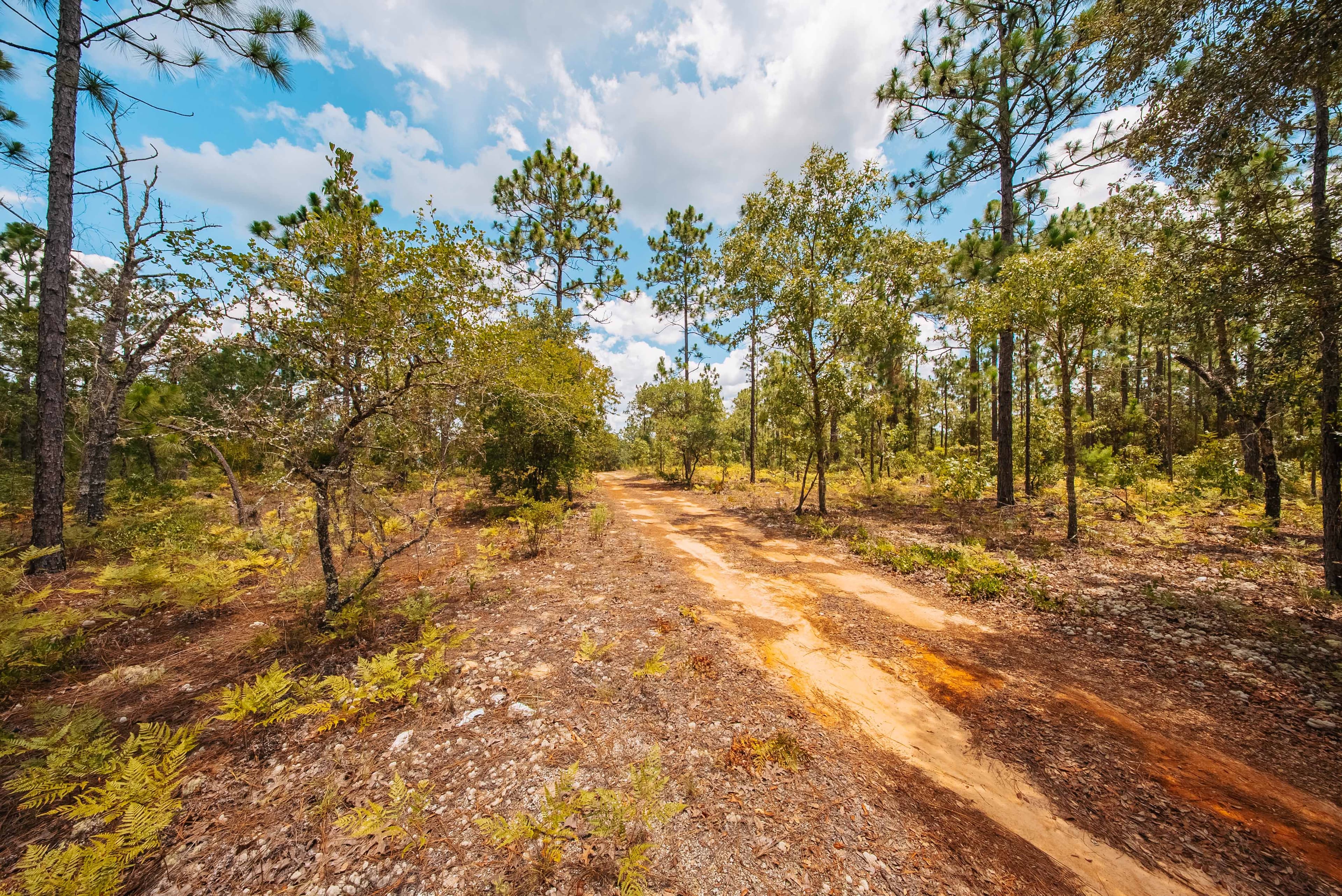 0.20 Acre Build-Ready Lot in West Lake Estates — property view 9