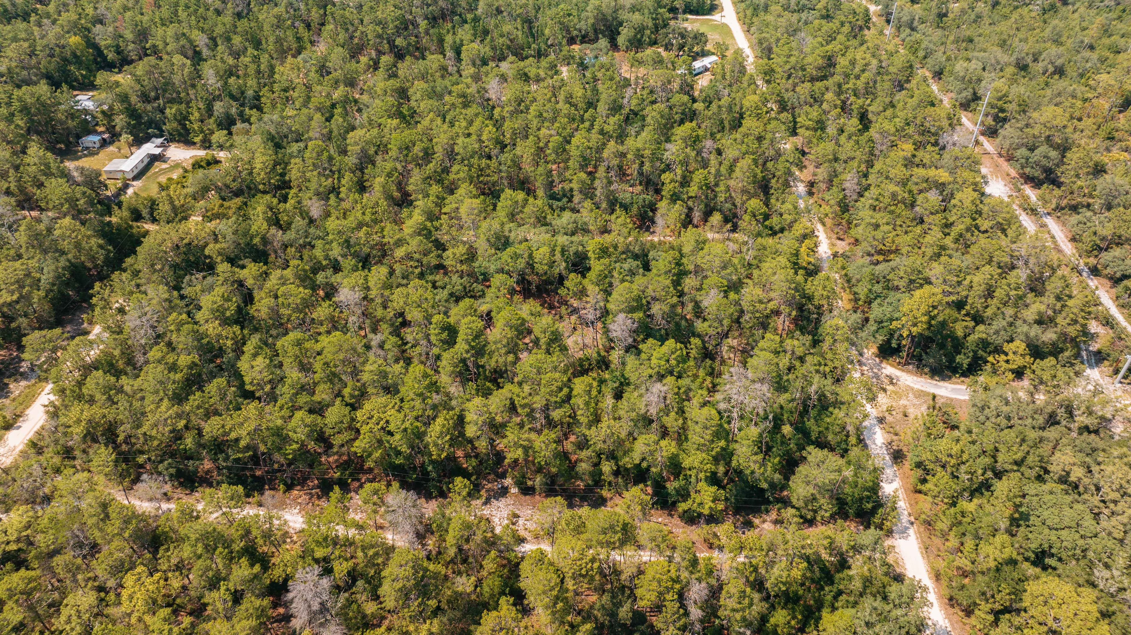 0.23 Acre Build-Ready Lot in Satsuma, Putnam County — property view 14