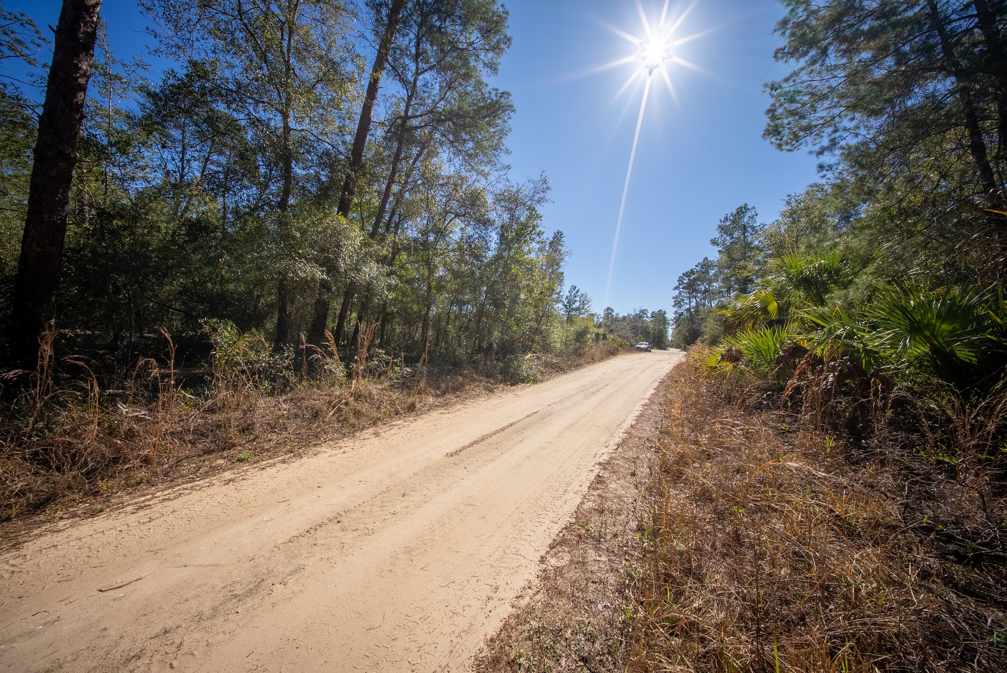 The Land Of Yours Dreams — property view 9