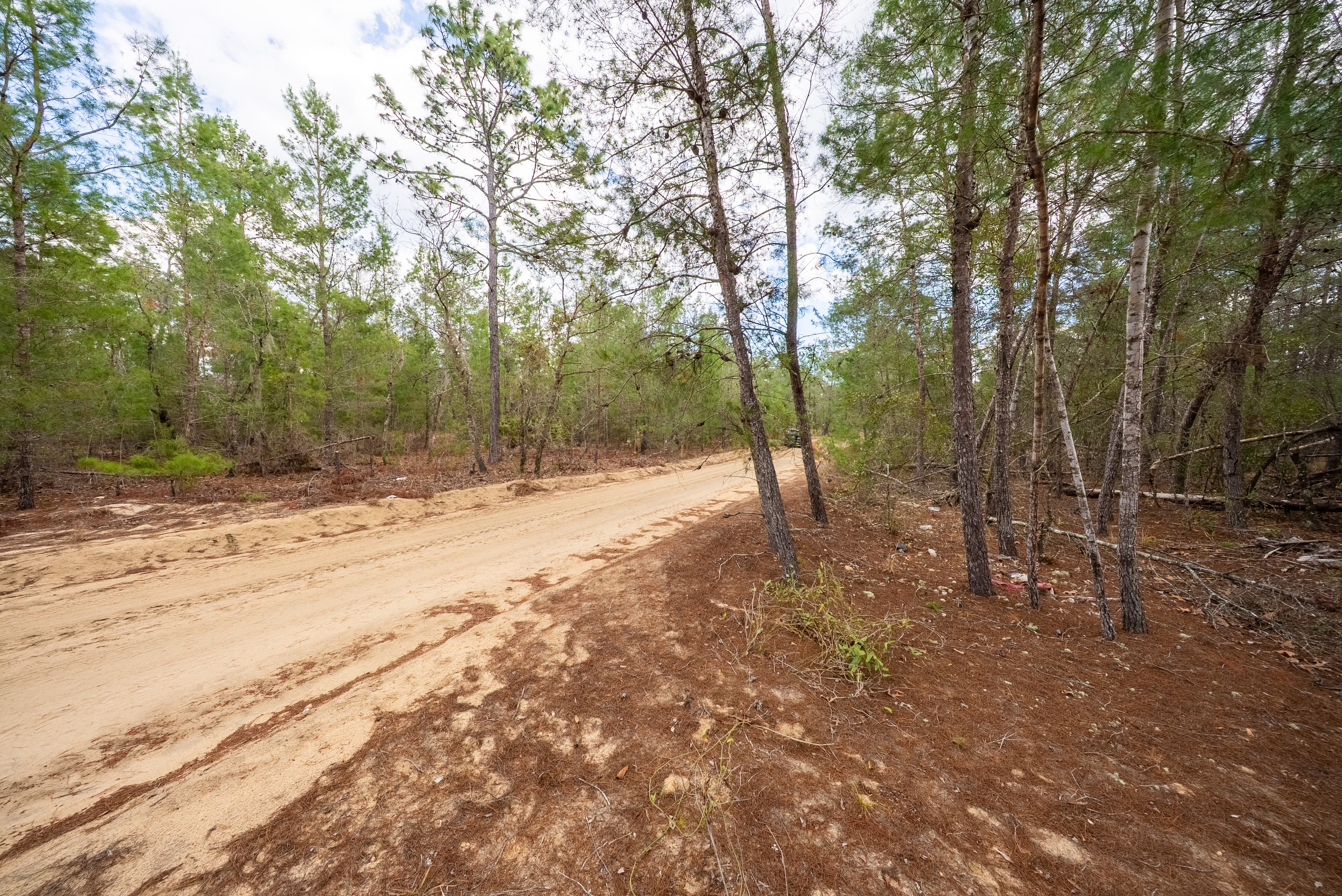 The Ridge Retreat: 0.4 Acres of Treed Privacy in Wild Florida — property view 9