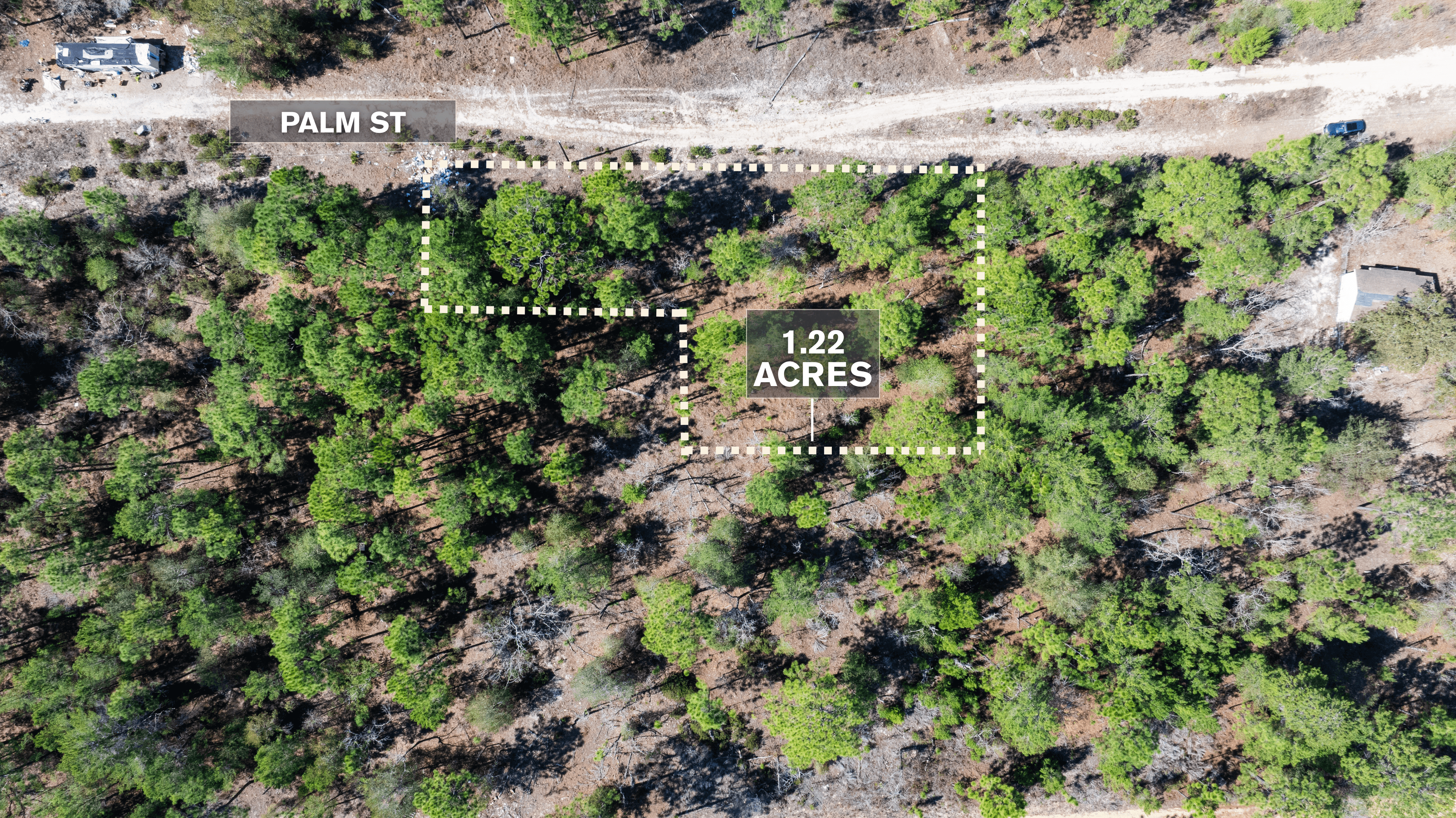 The Trout Lake Estate: 1.22 Acres of Untouched Florida Freedom — property view 11