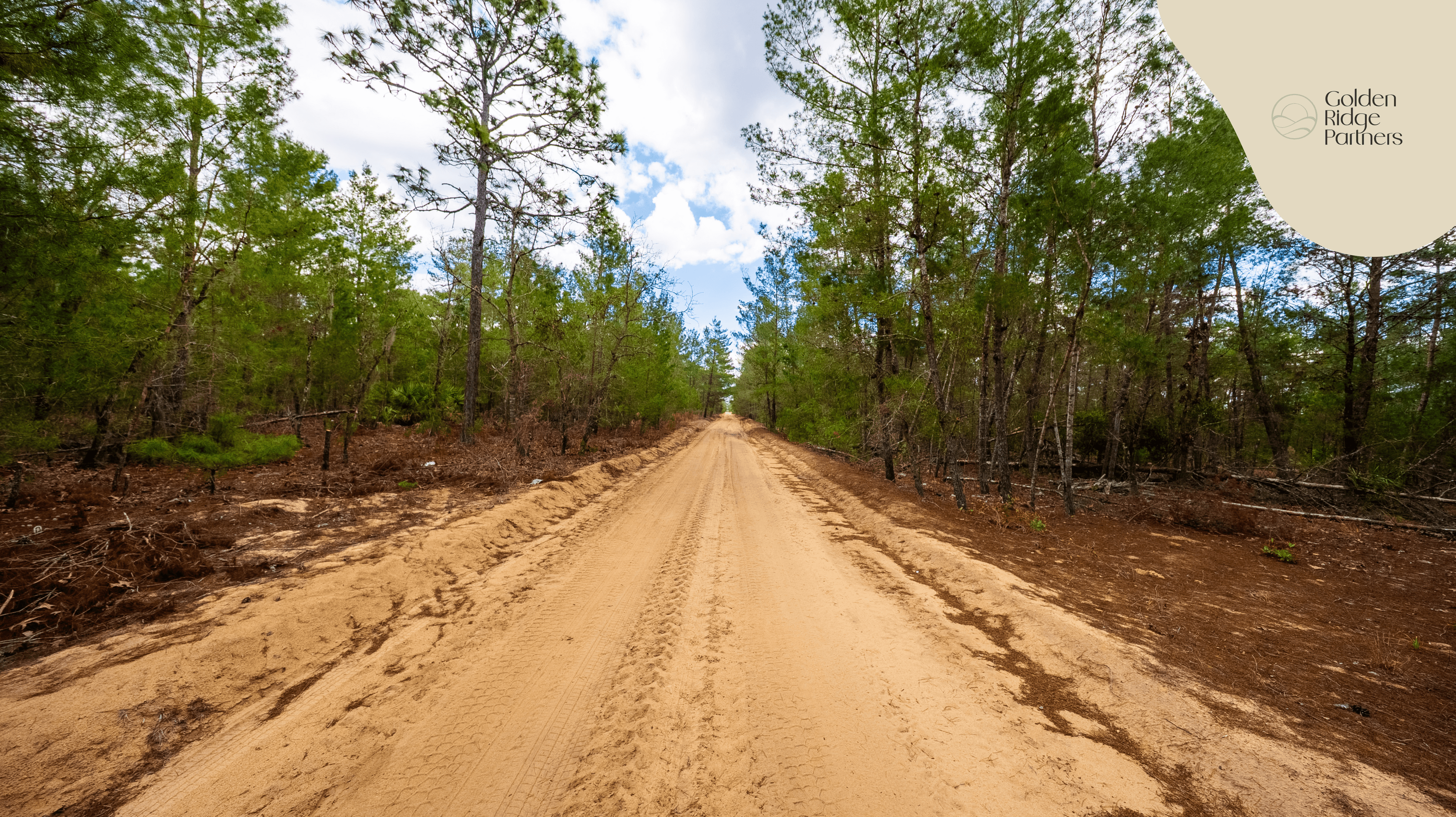 0.4 acre residential zoned land for sale in Putnam County, FL — photo 3