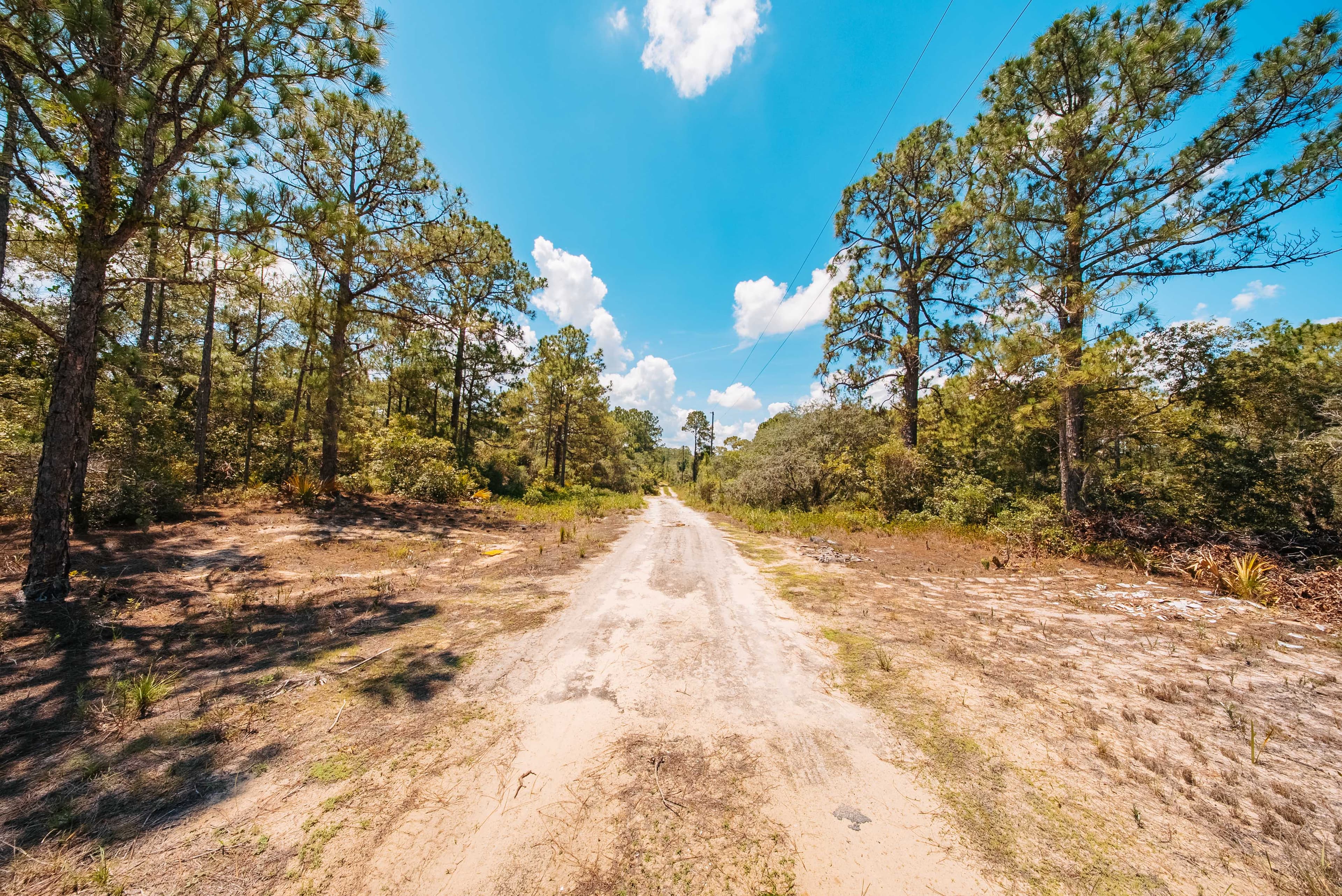  0.24 Acre Build-Ready Lot in Sun N Lakes, Lake Placid — property view 5