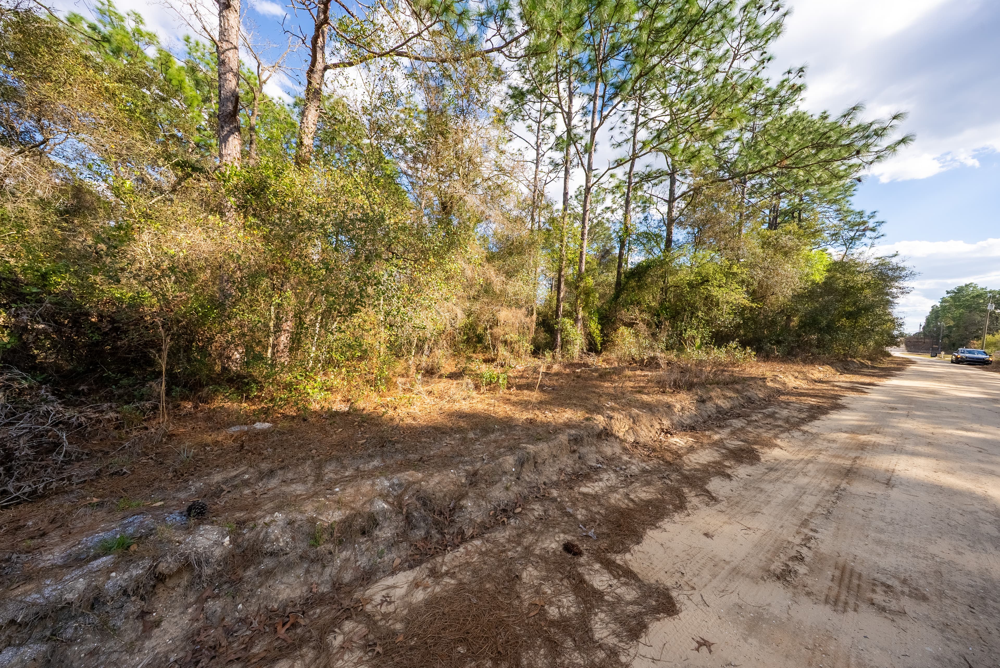 Riverside Retreat: 0.23 Acres on the St. Johns in Wild Florida — property view 9