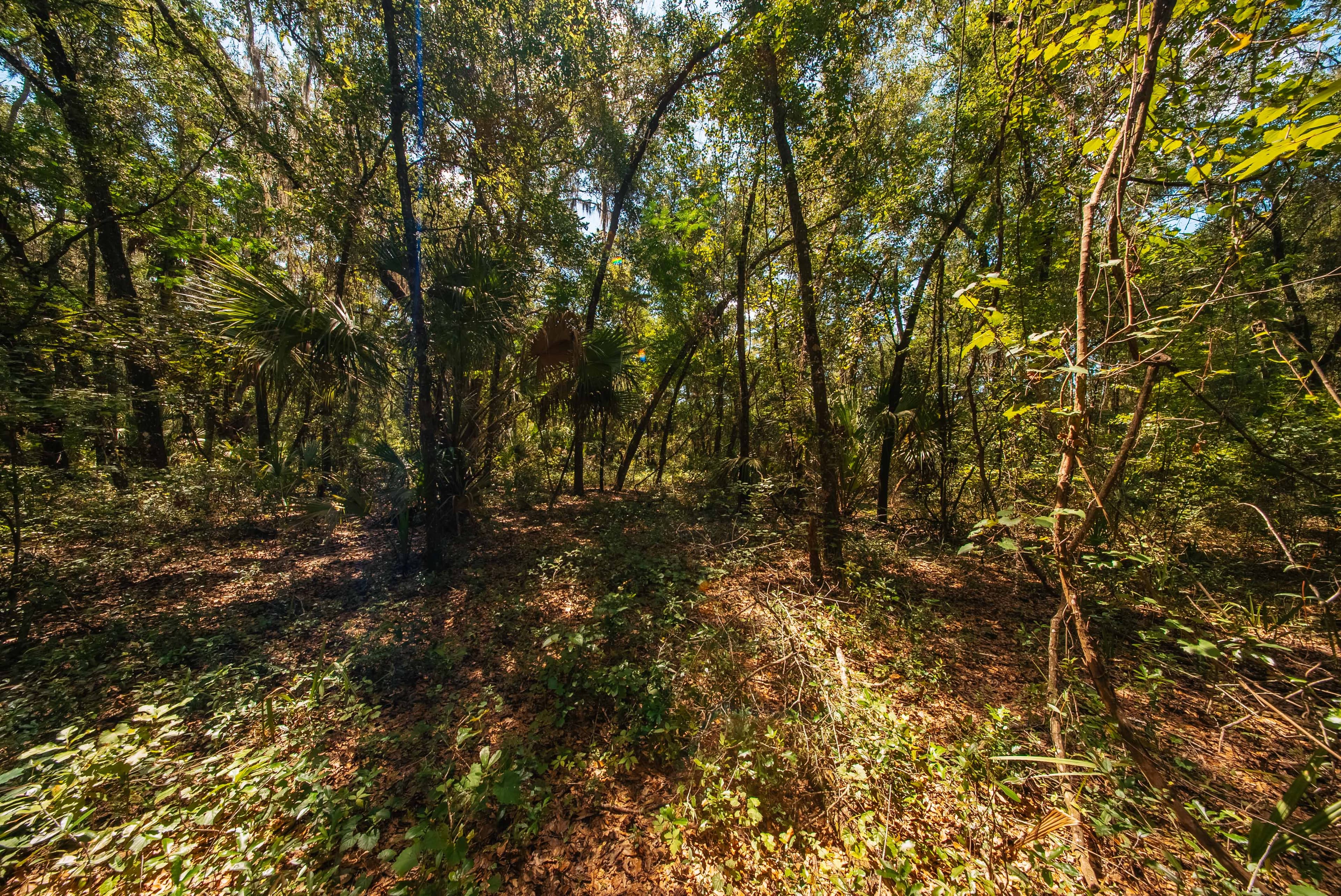 Property View 13