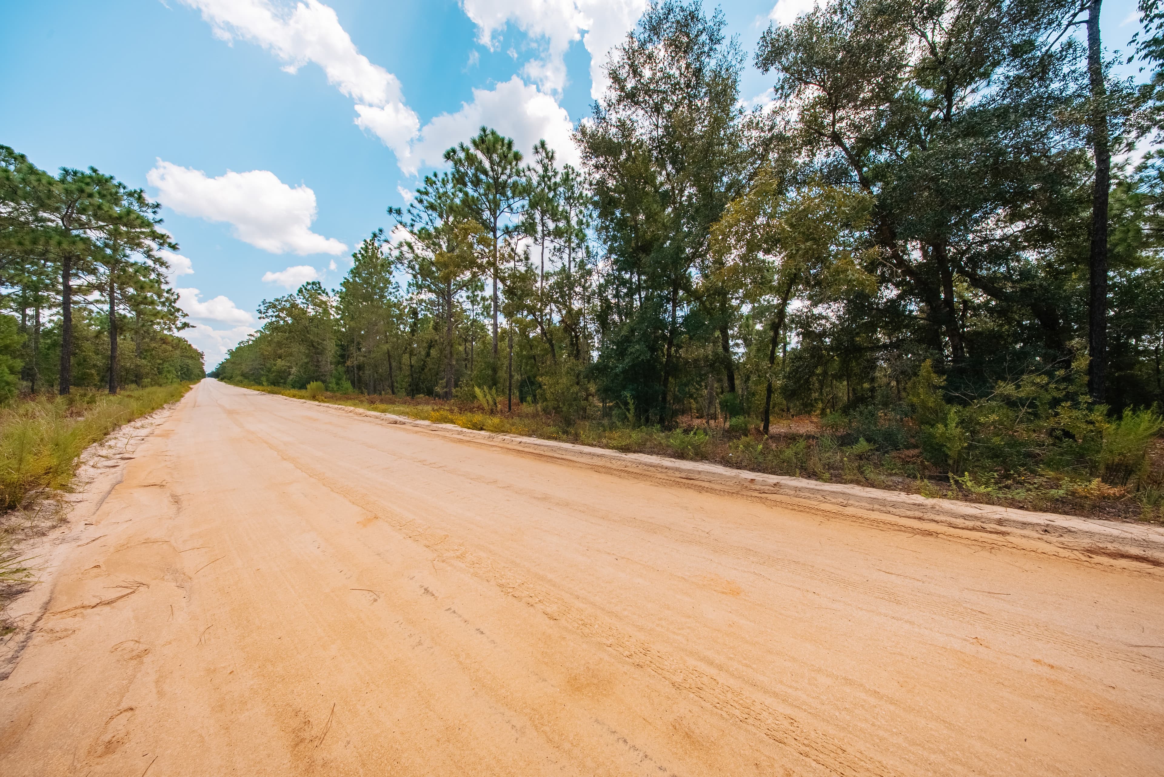 0.90 Acre Premium Lot in Mariners Lake Heights, Interlachen — property view 9