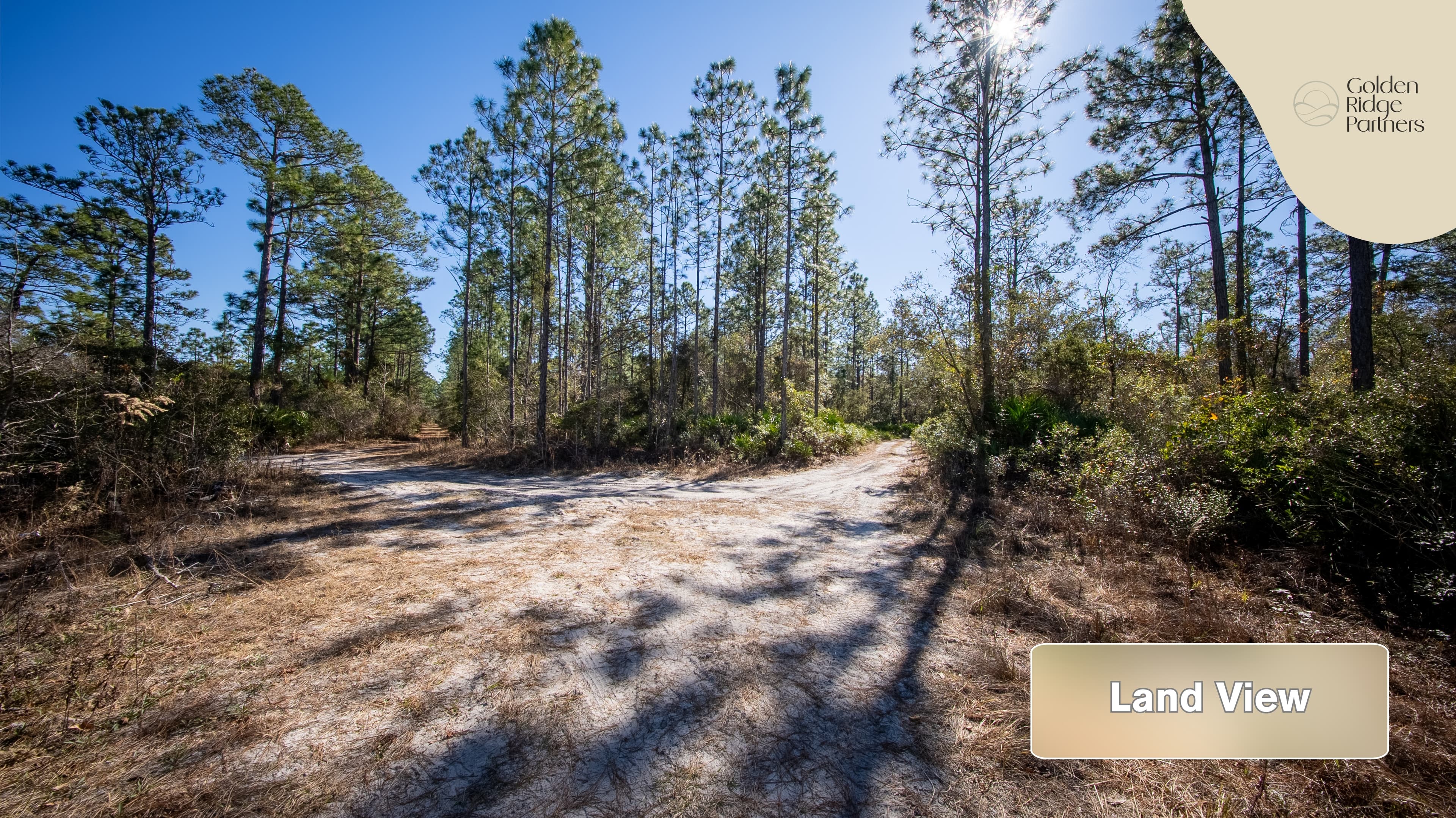 0.54 acre agricultural zoned land for sale in Putnam County, FL — photo 4